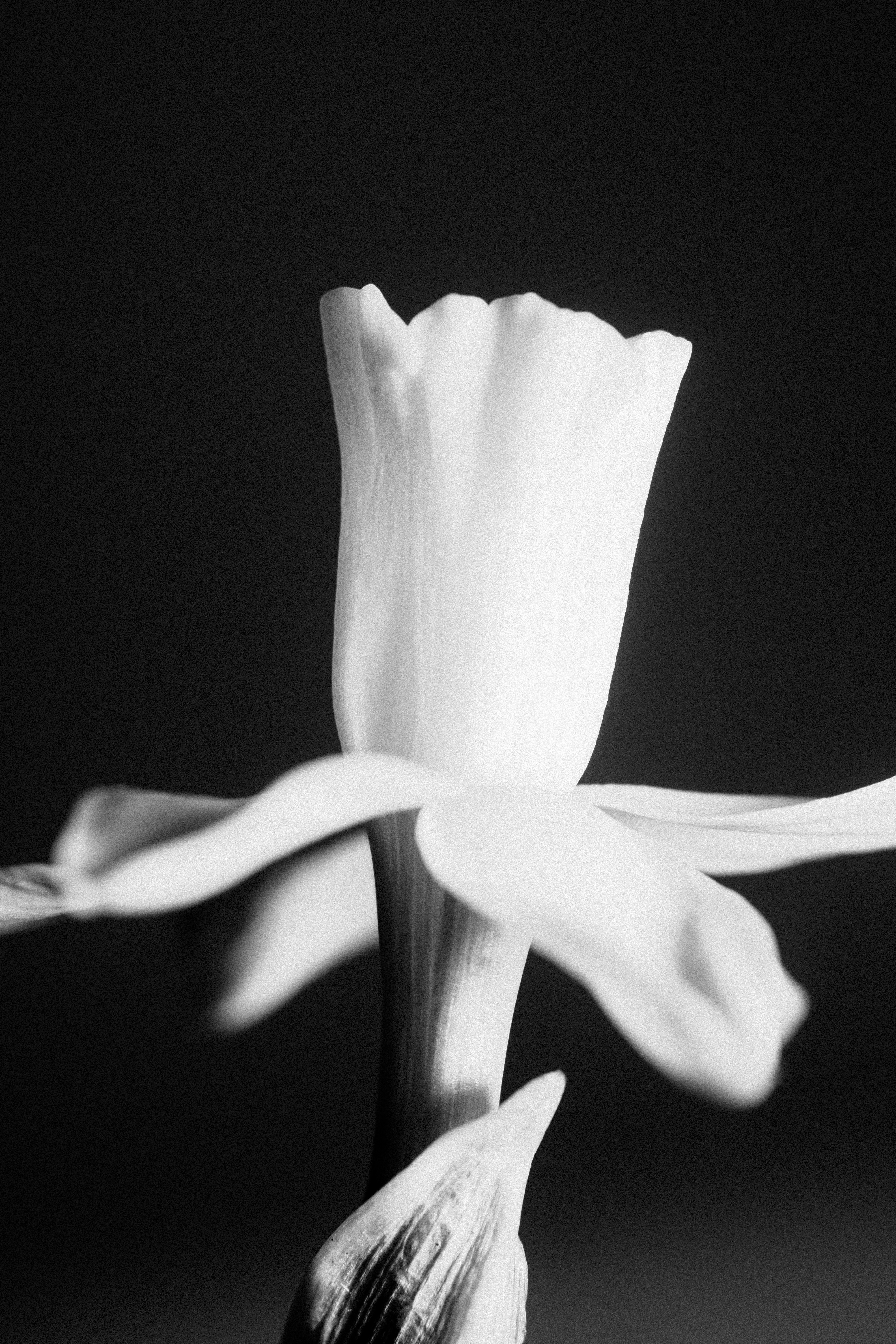 Photo by reinisbruzitis