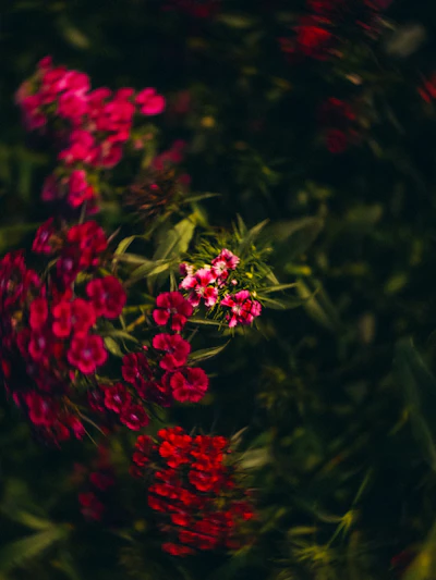 Mobile post