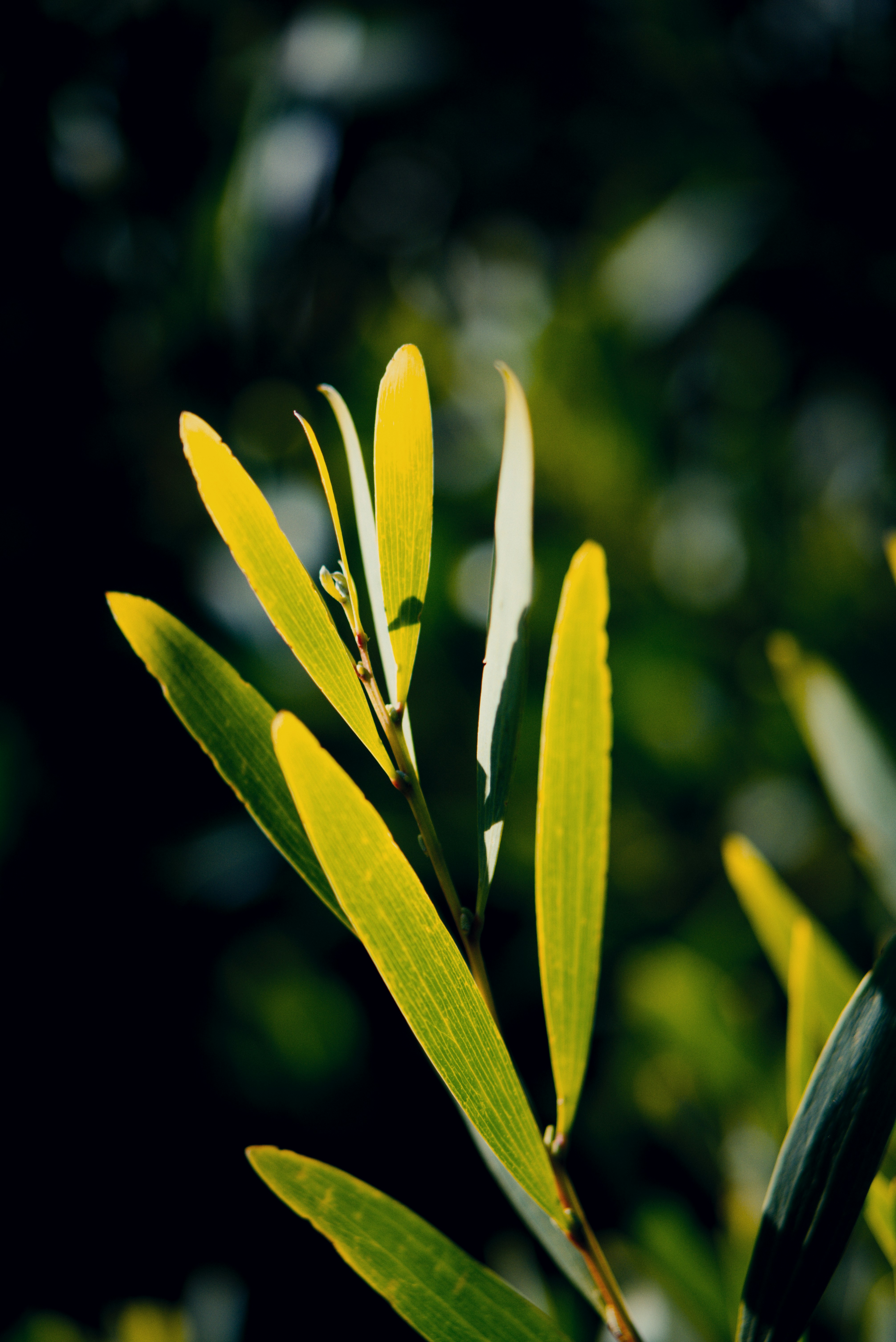 Photo by astashov_artem