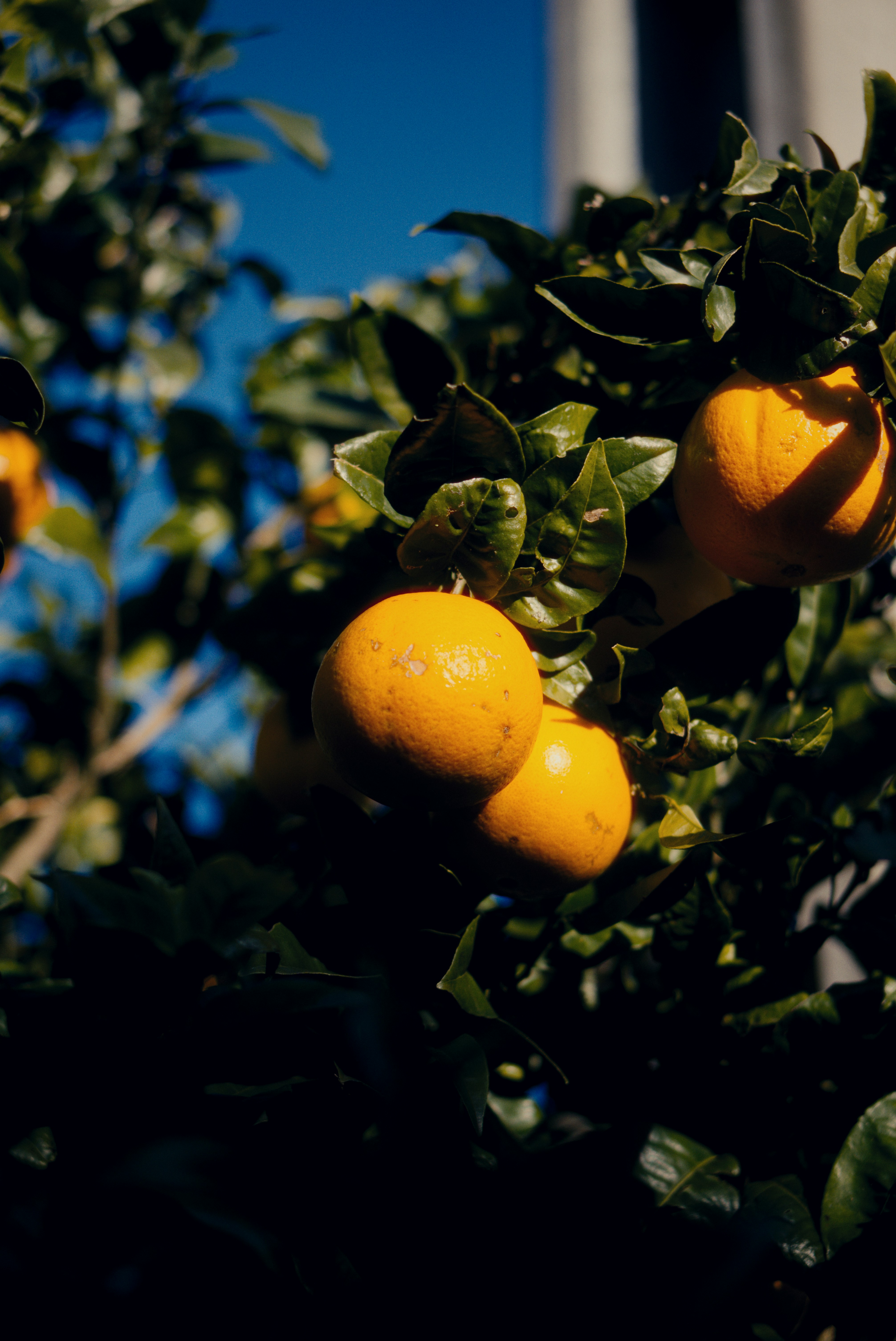 Photo by astashov_artem