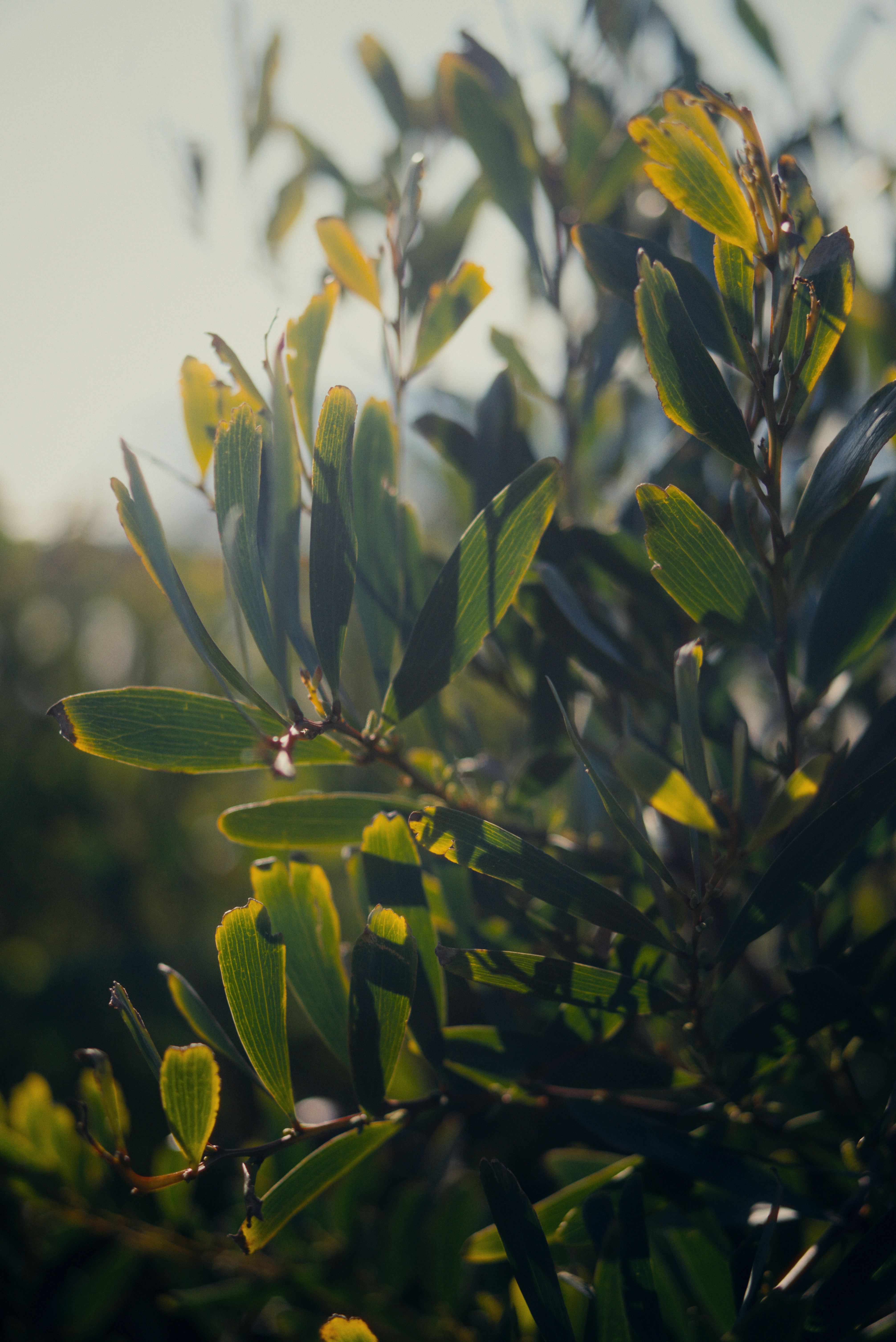 Photo by astashov_artem