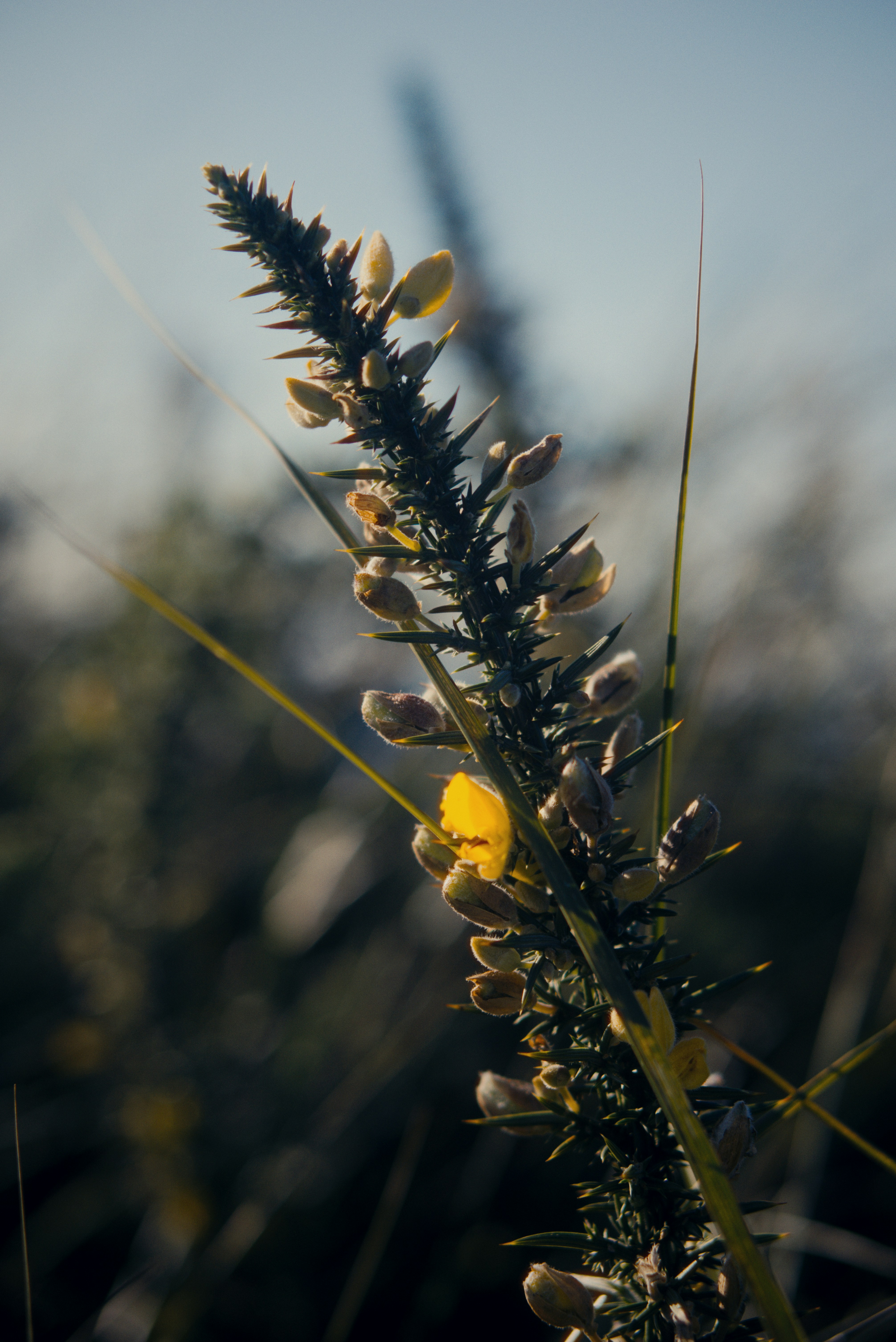 Photo by astashov_artem