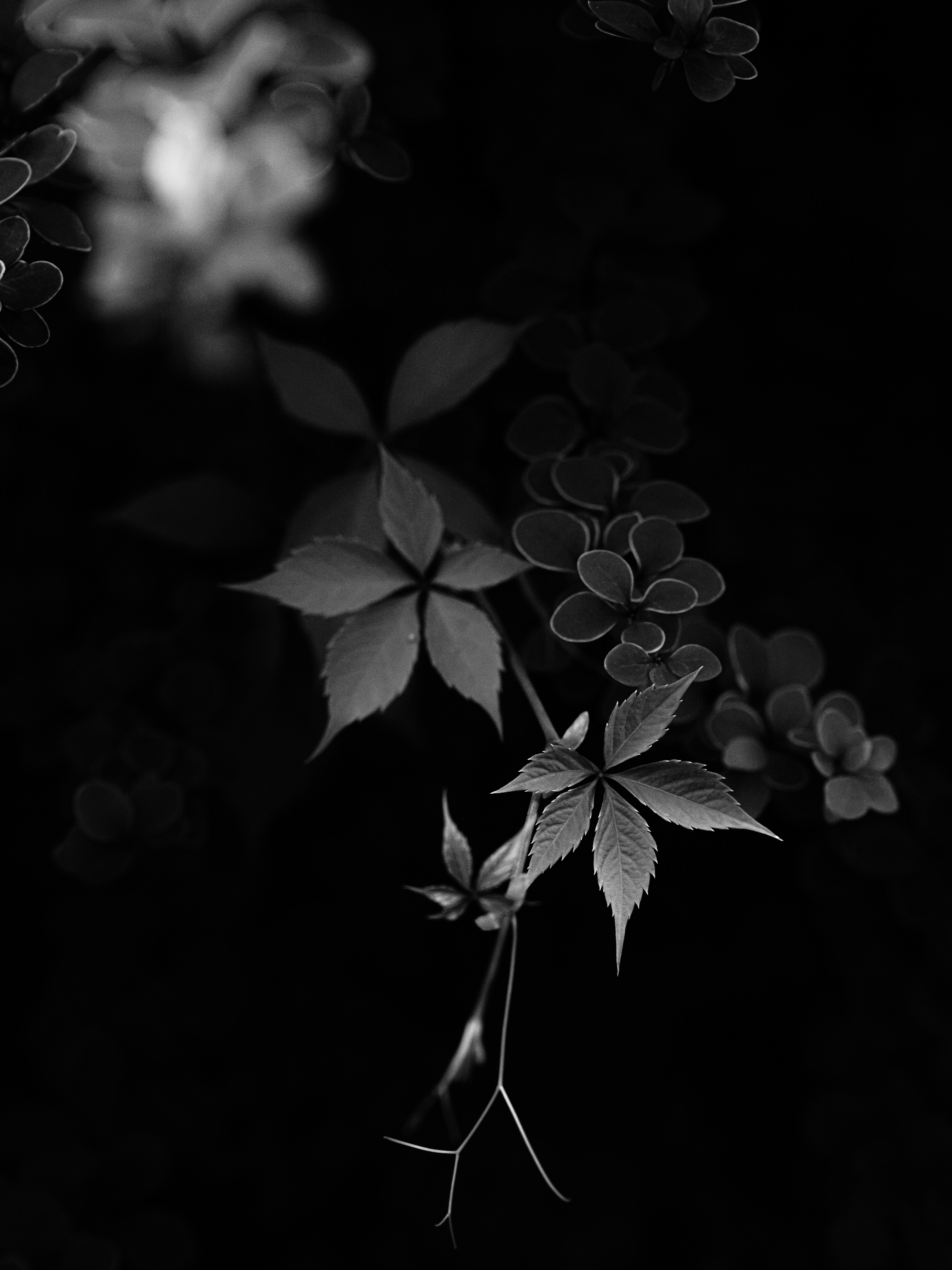 Photo by mineral_of_demon