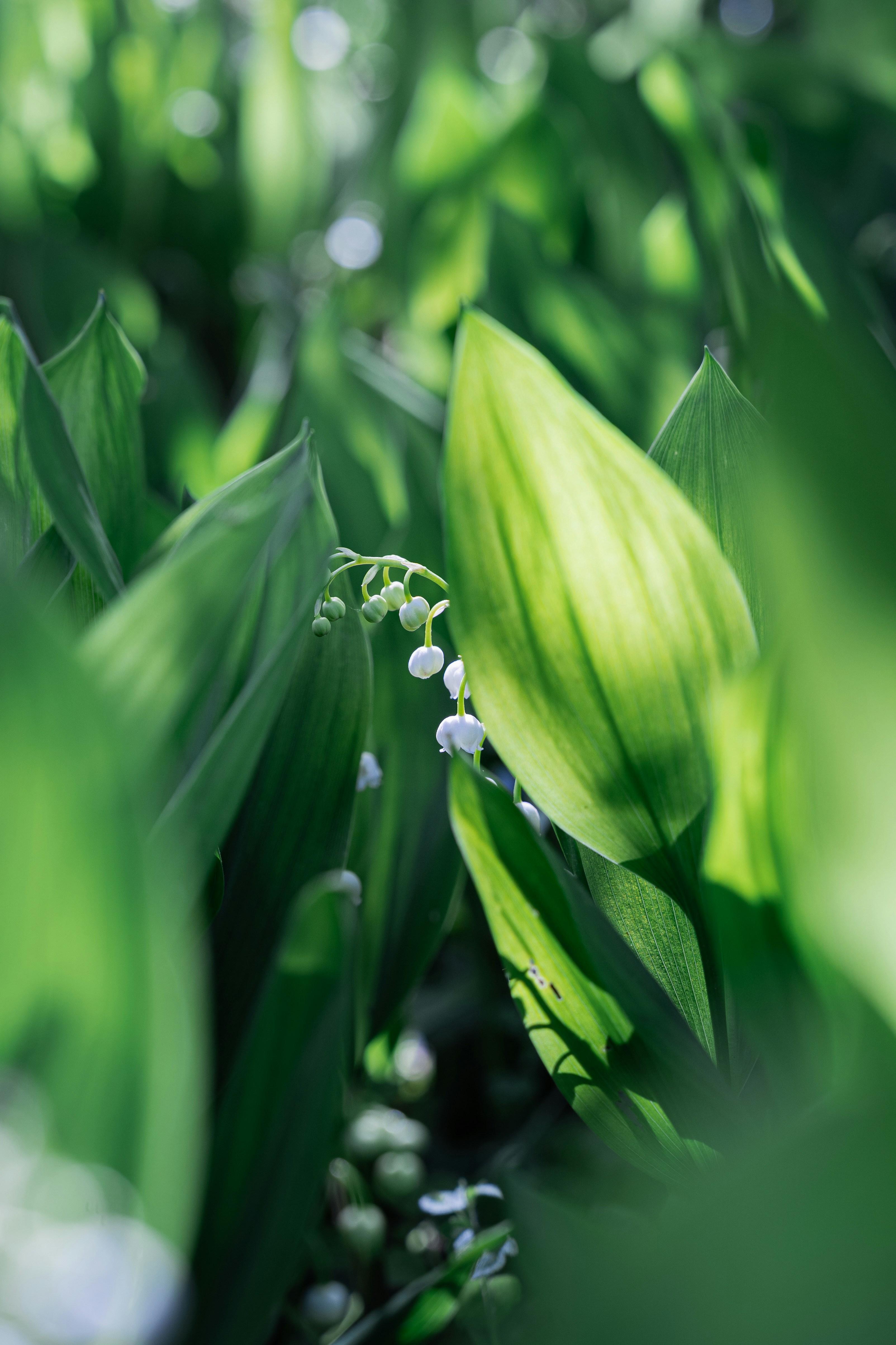 Photo by carinamariah