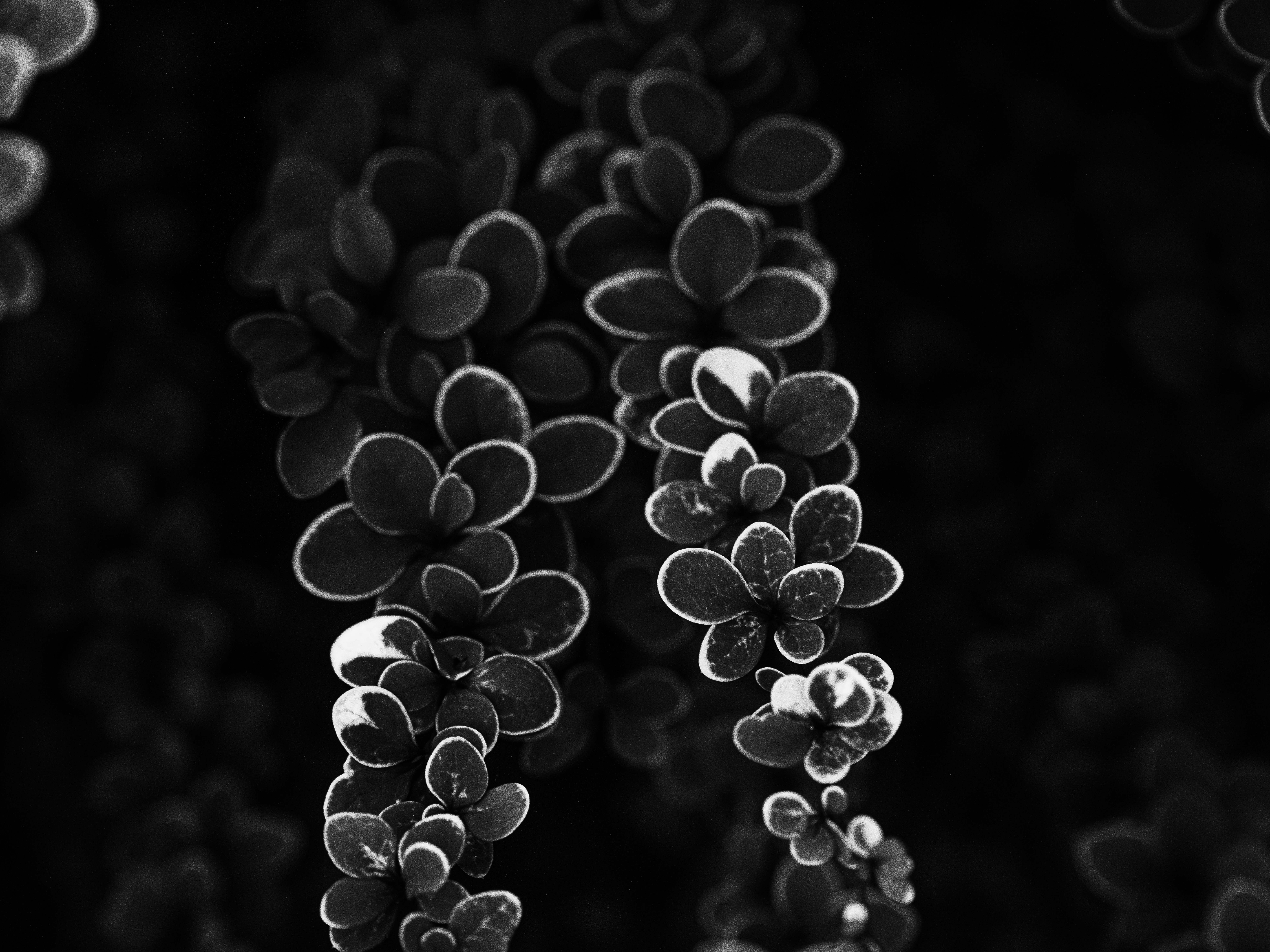 Photo by mineral_of_demon