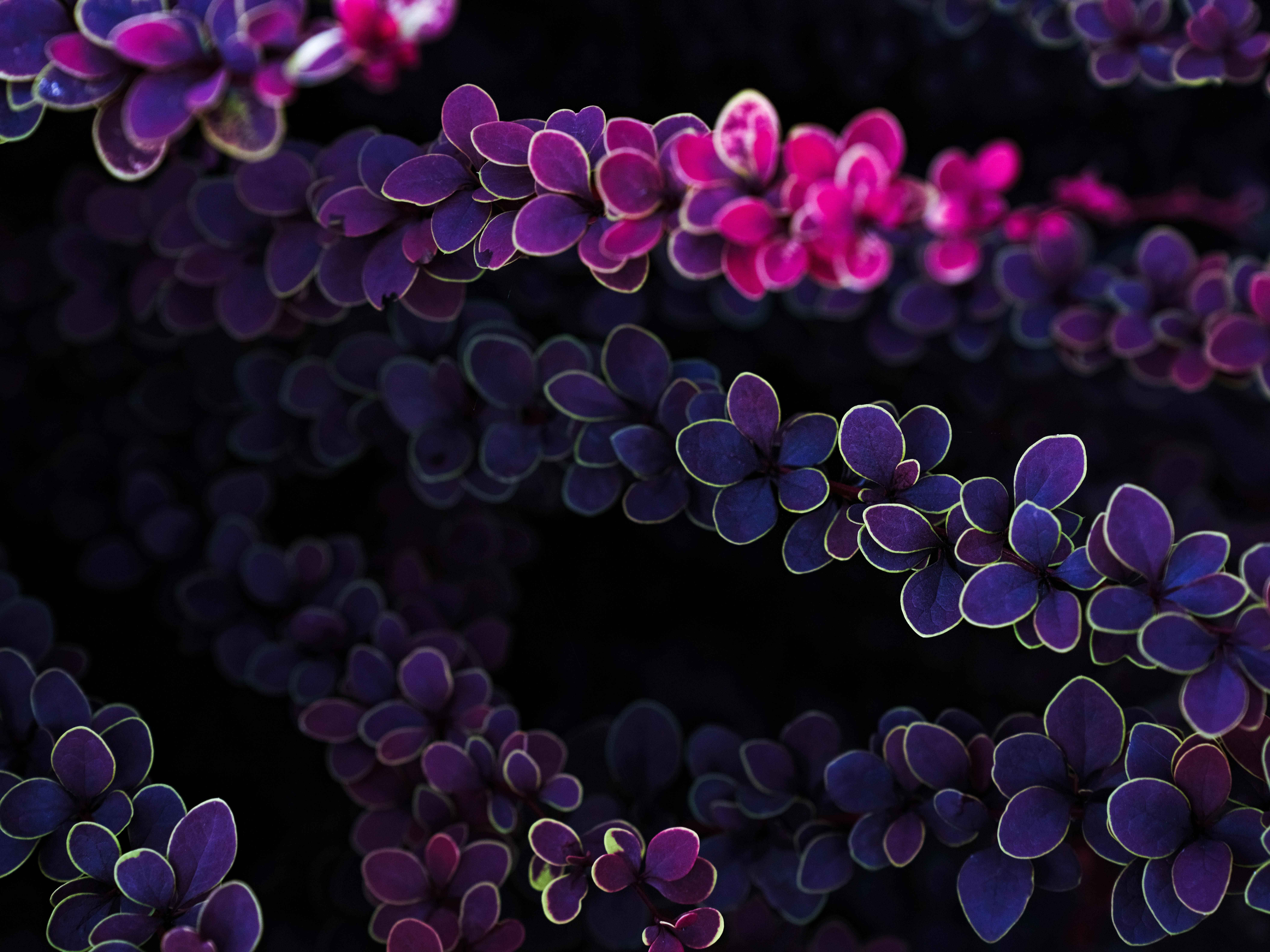 Recognizing The Subtleties Of Dependency Healing Calls For An Understanding Of The Distinction Between Detox And Rehabilitation; Explore How These Two Stages Contribute Uniquely To Your Course To Recovery