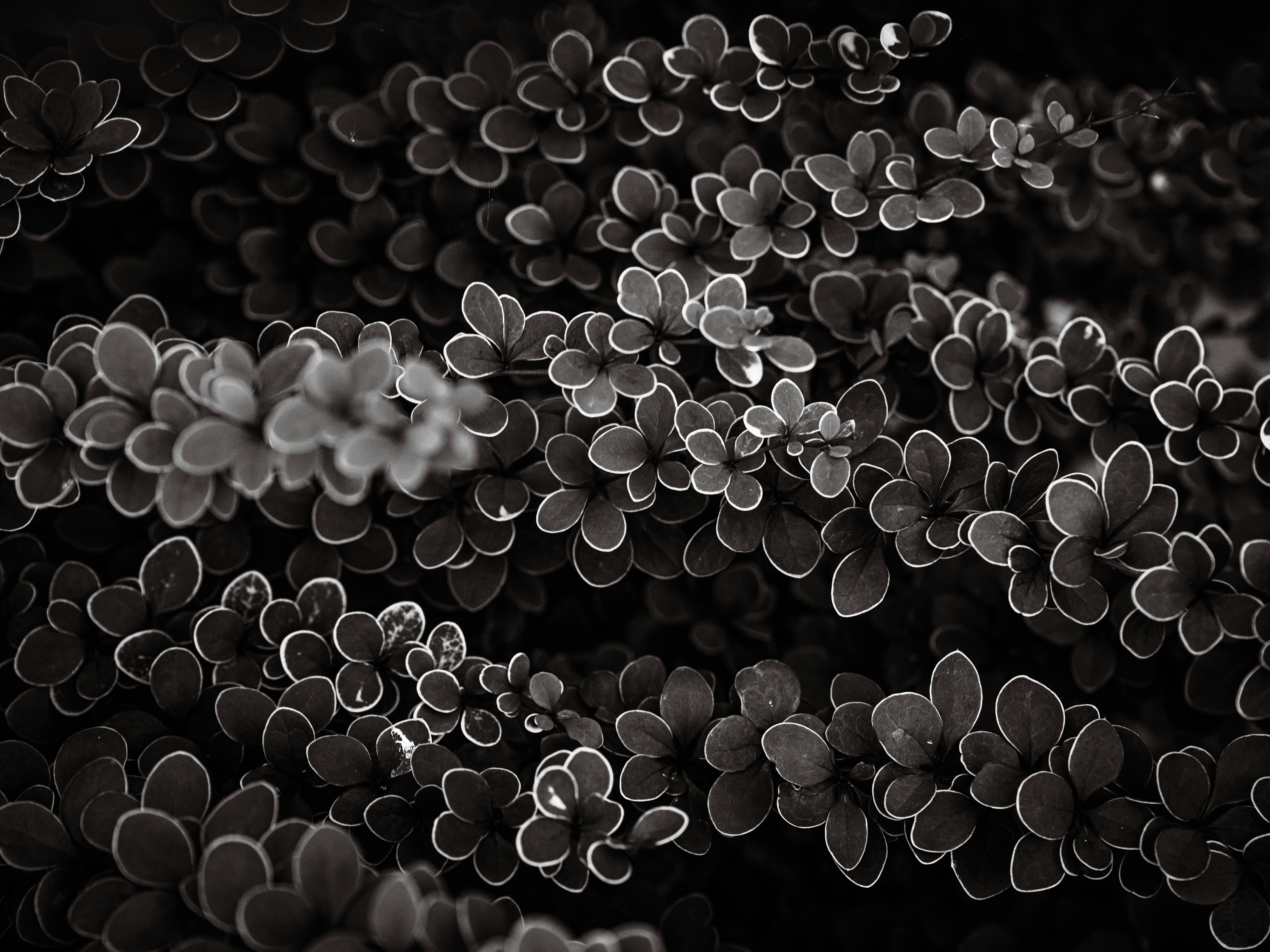 Photo by mineral_of_demon