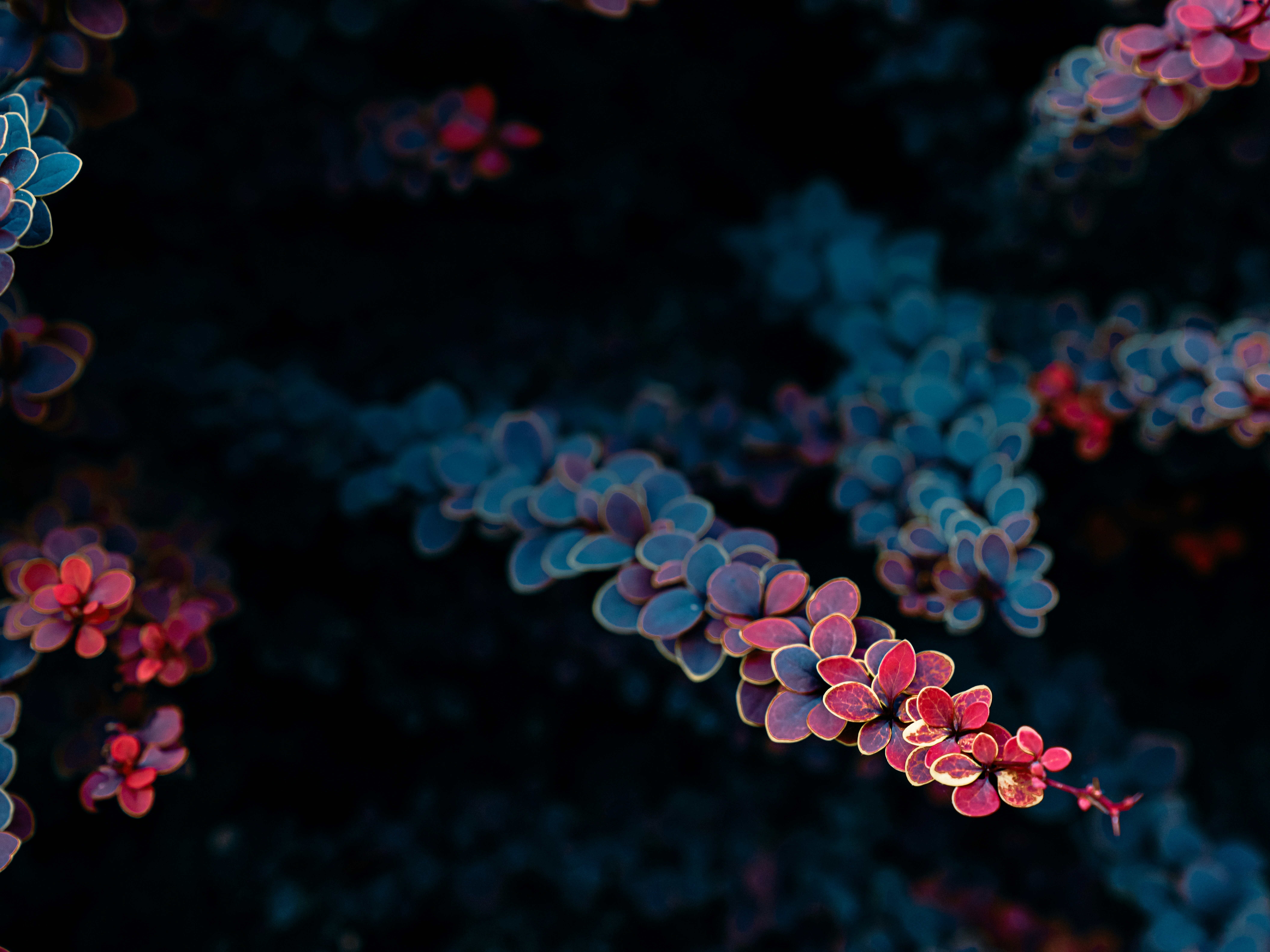 Photo by mineral_of_demon