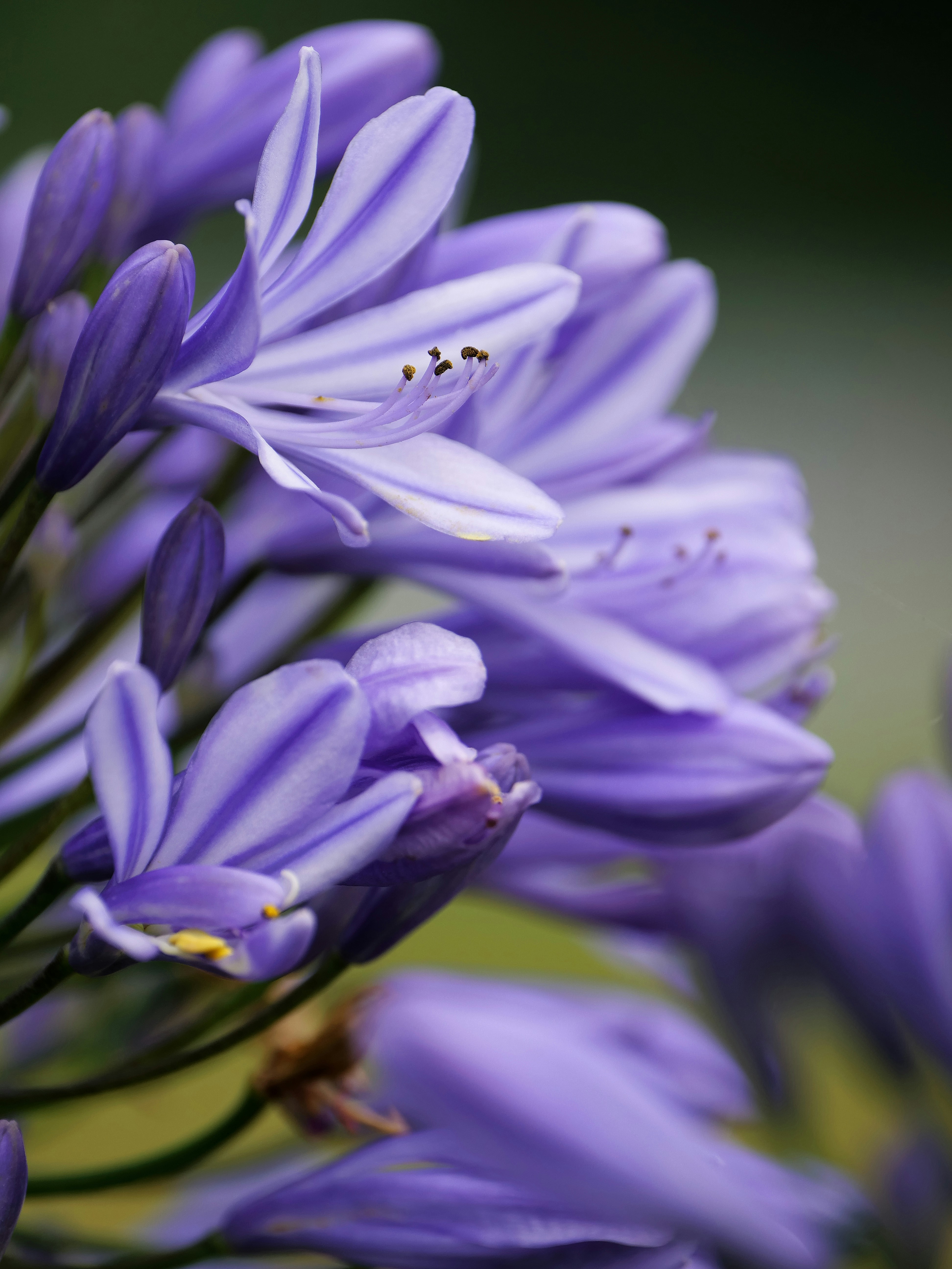 Photo by balmy_sunset