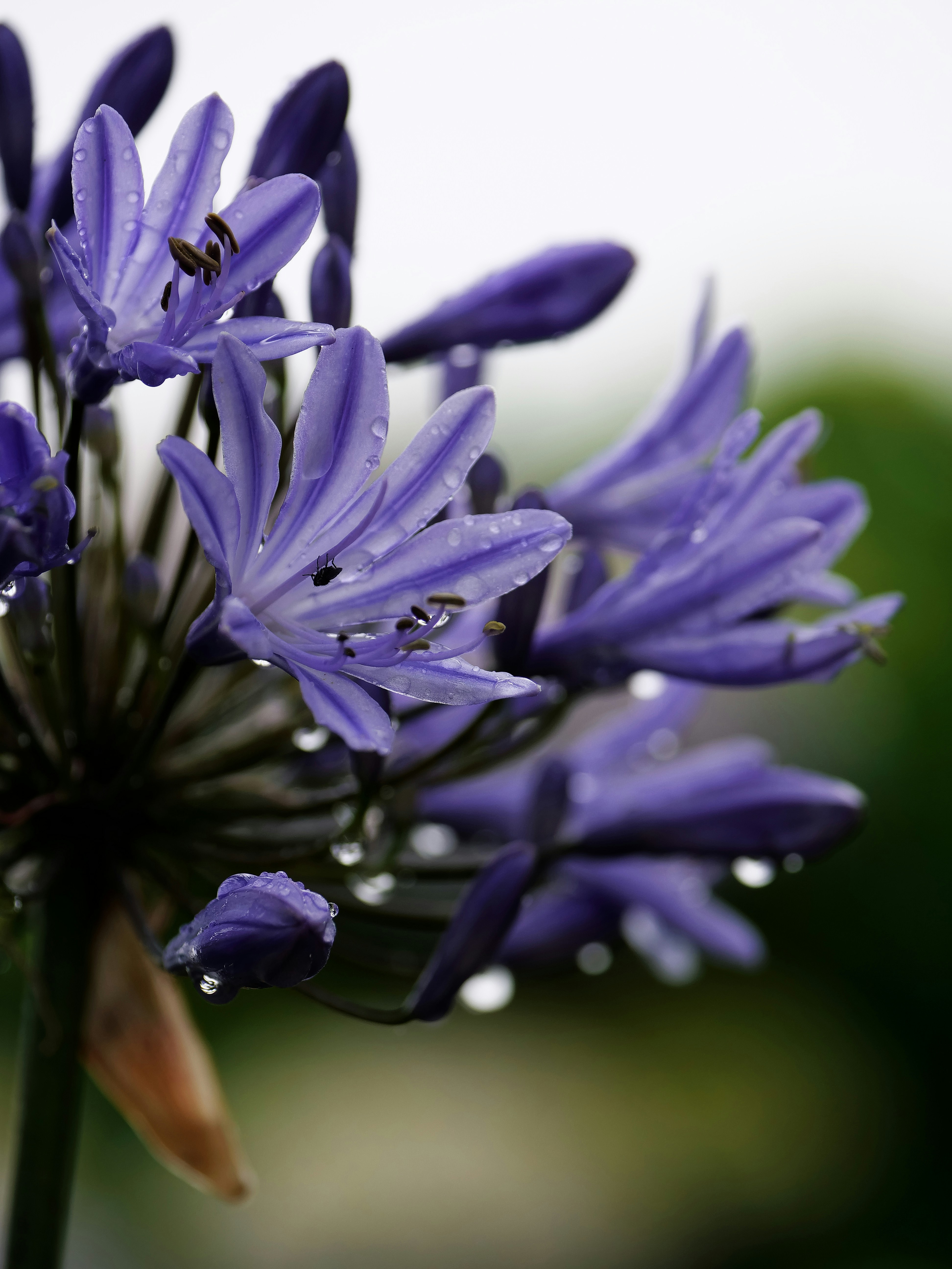 Photo by balmy_sunset