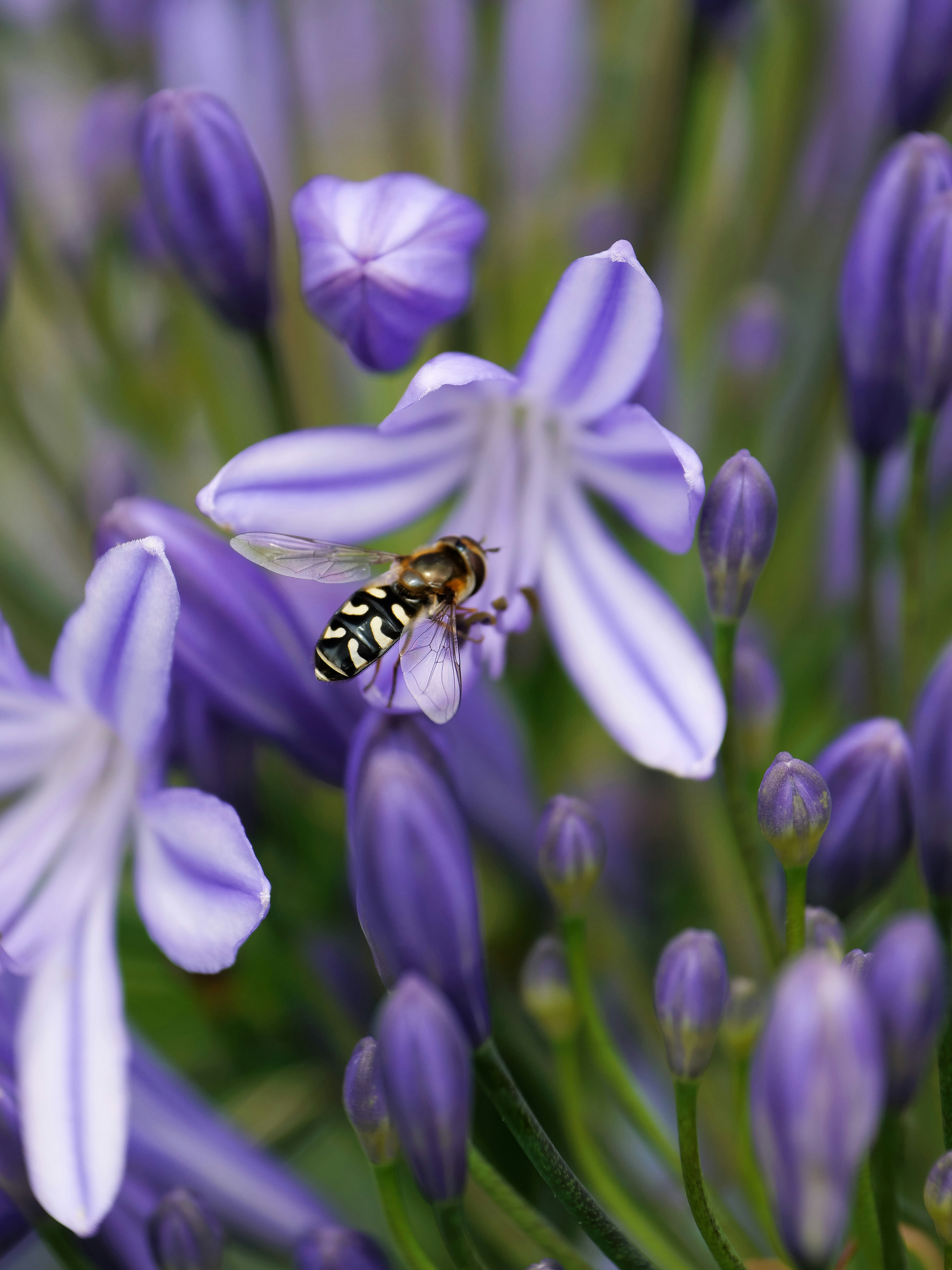 Photo by balmy_sunset