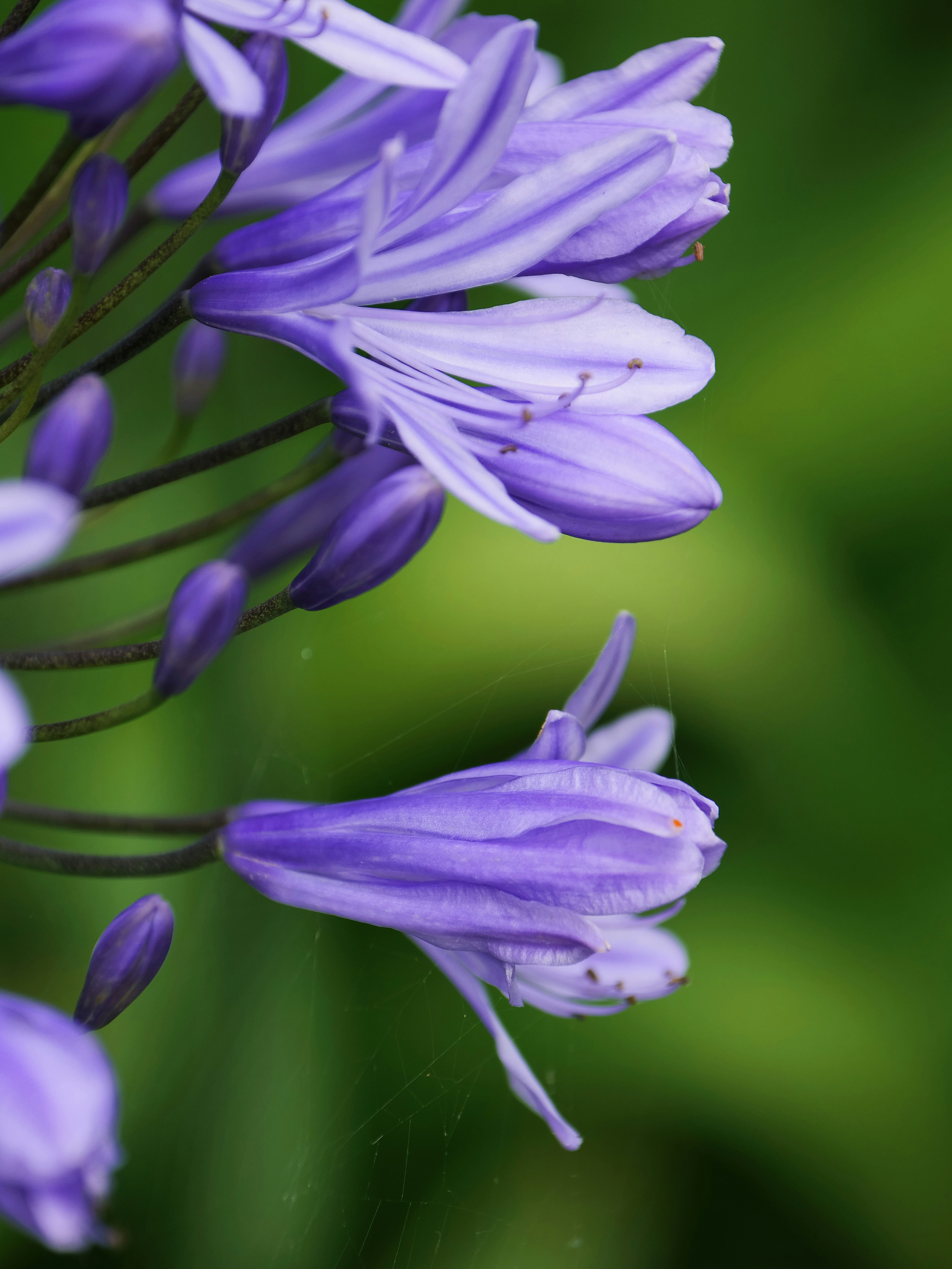 Photo by balmy_sunset