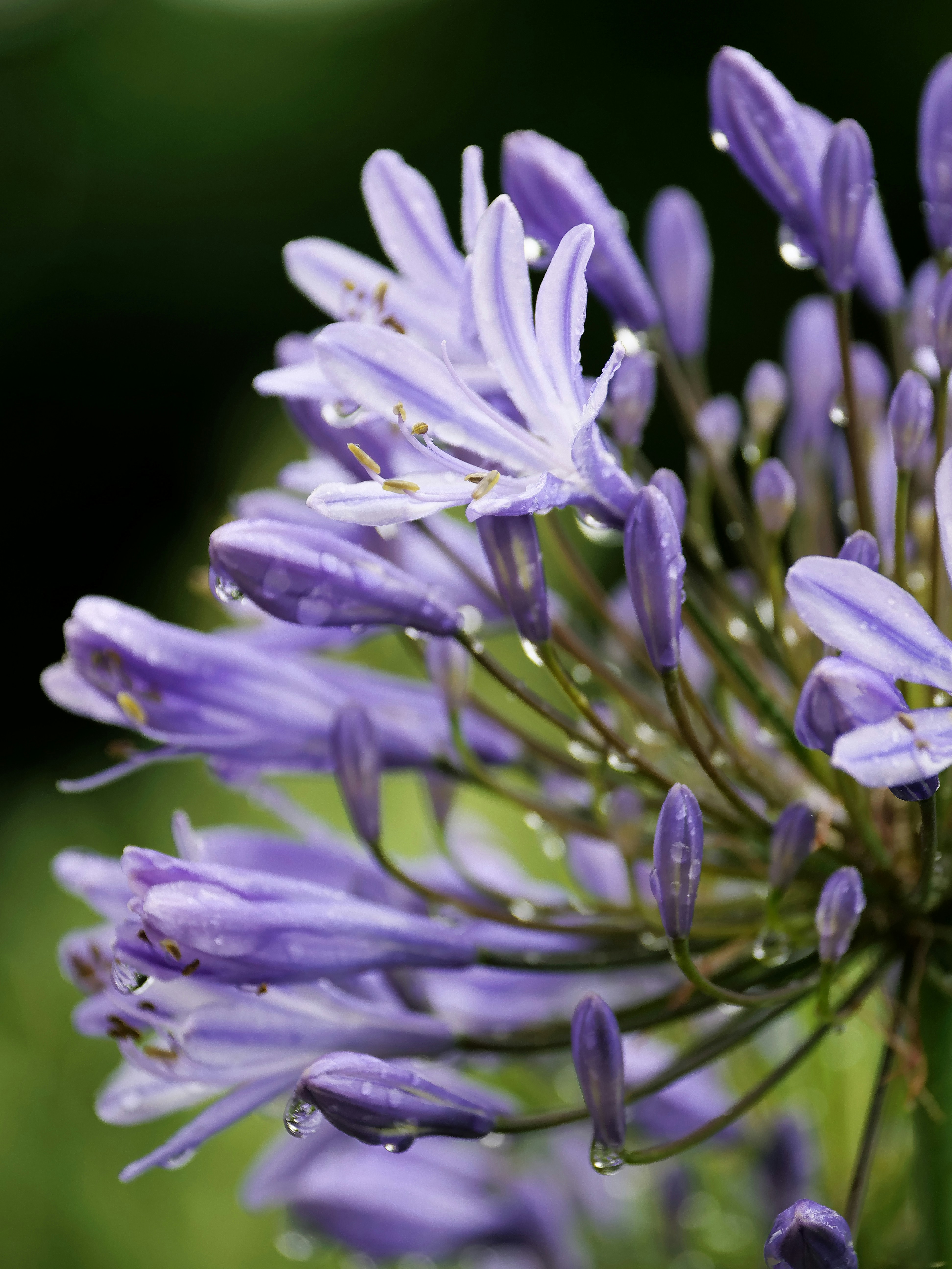 Photo by balmy_sunset