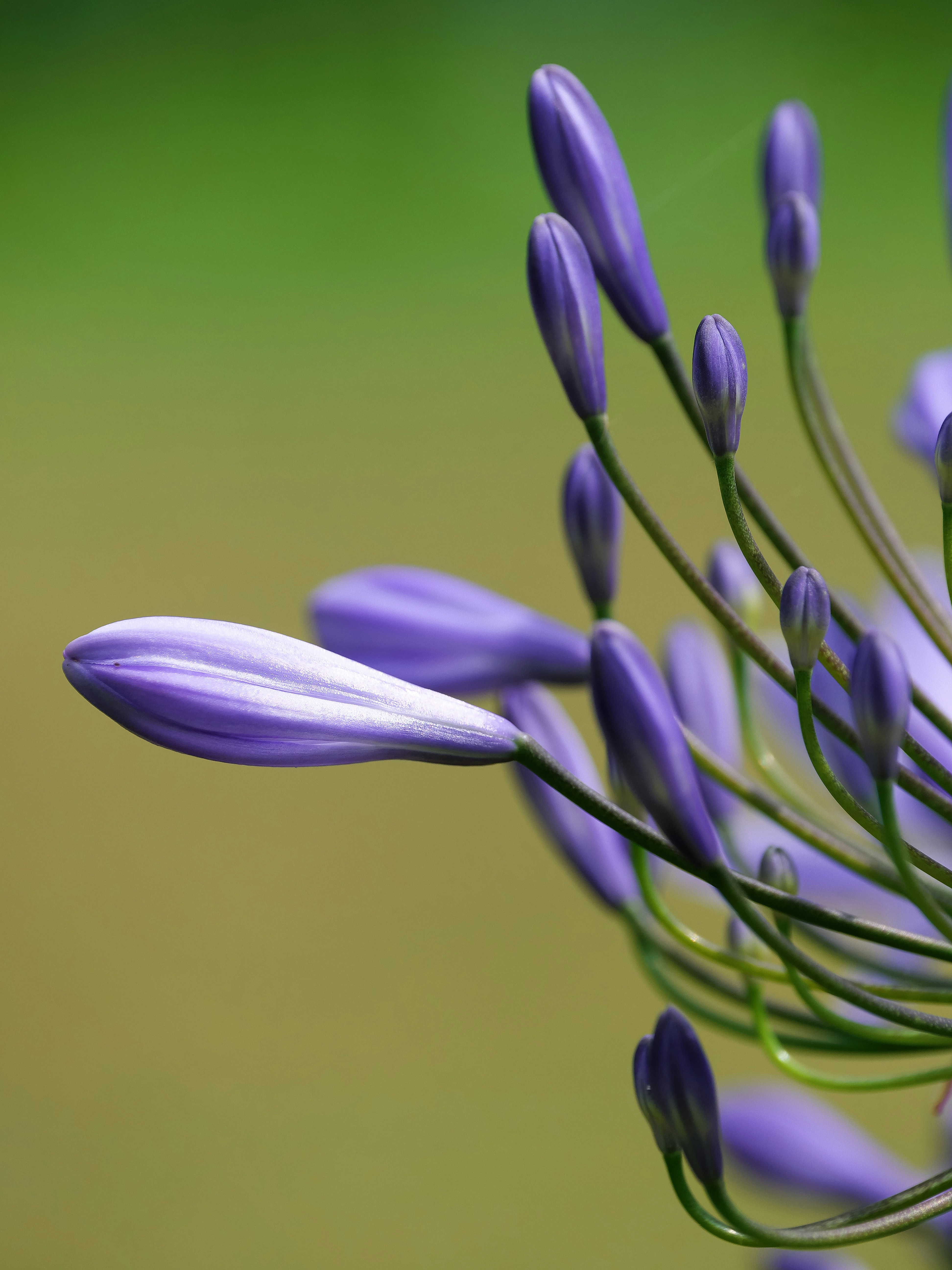 Photo by balmy_sunset