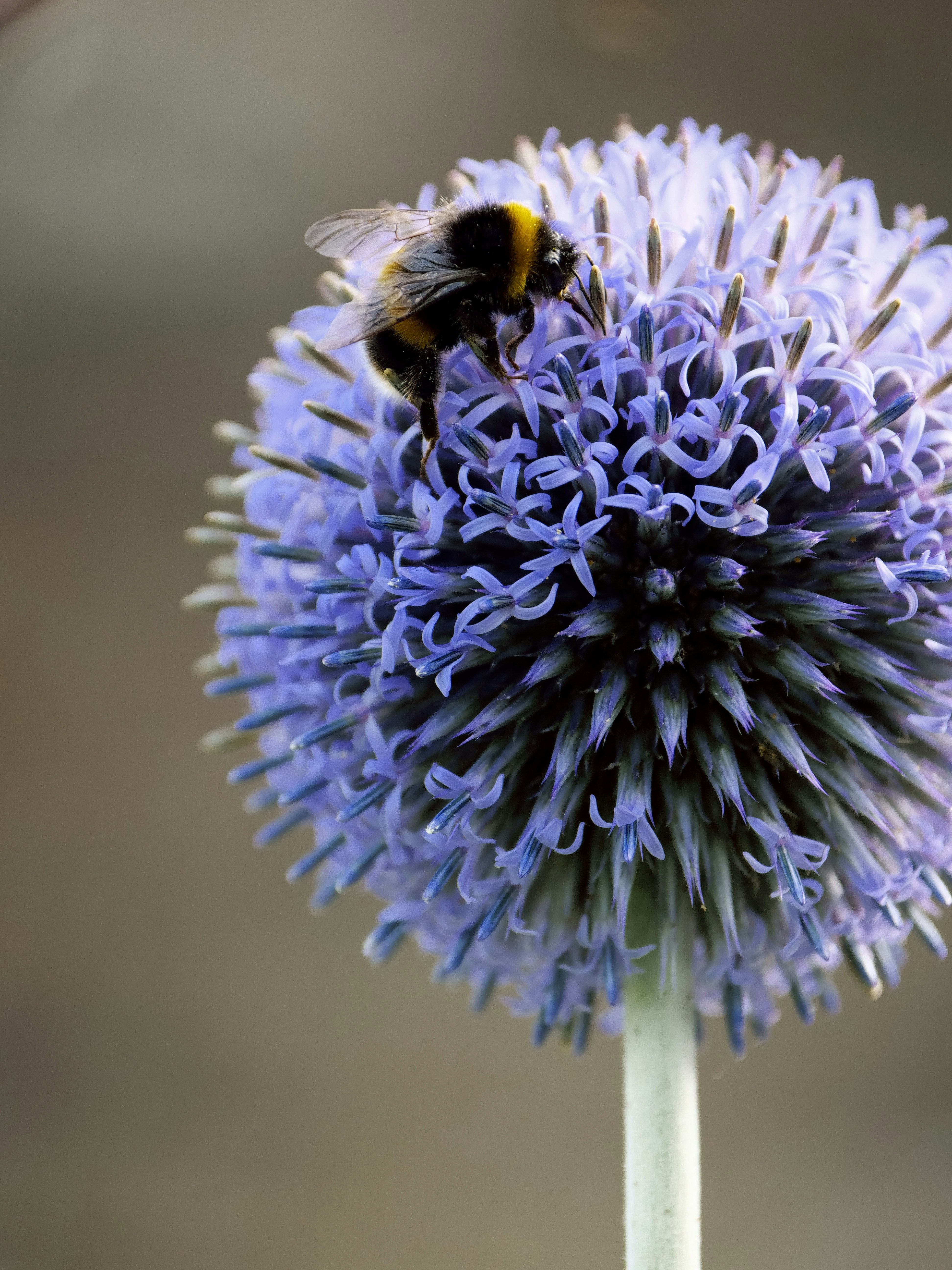 Photo by balmy_sunset