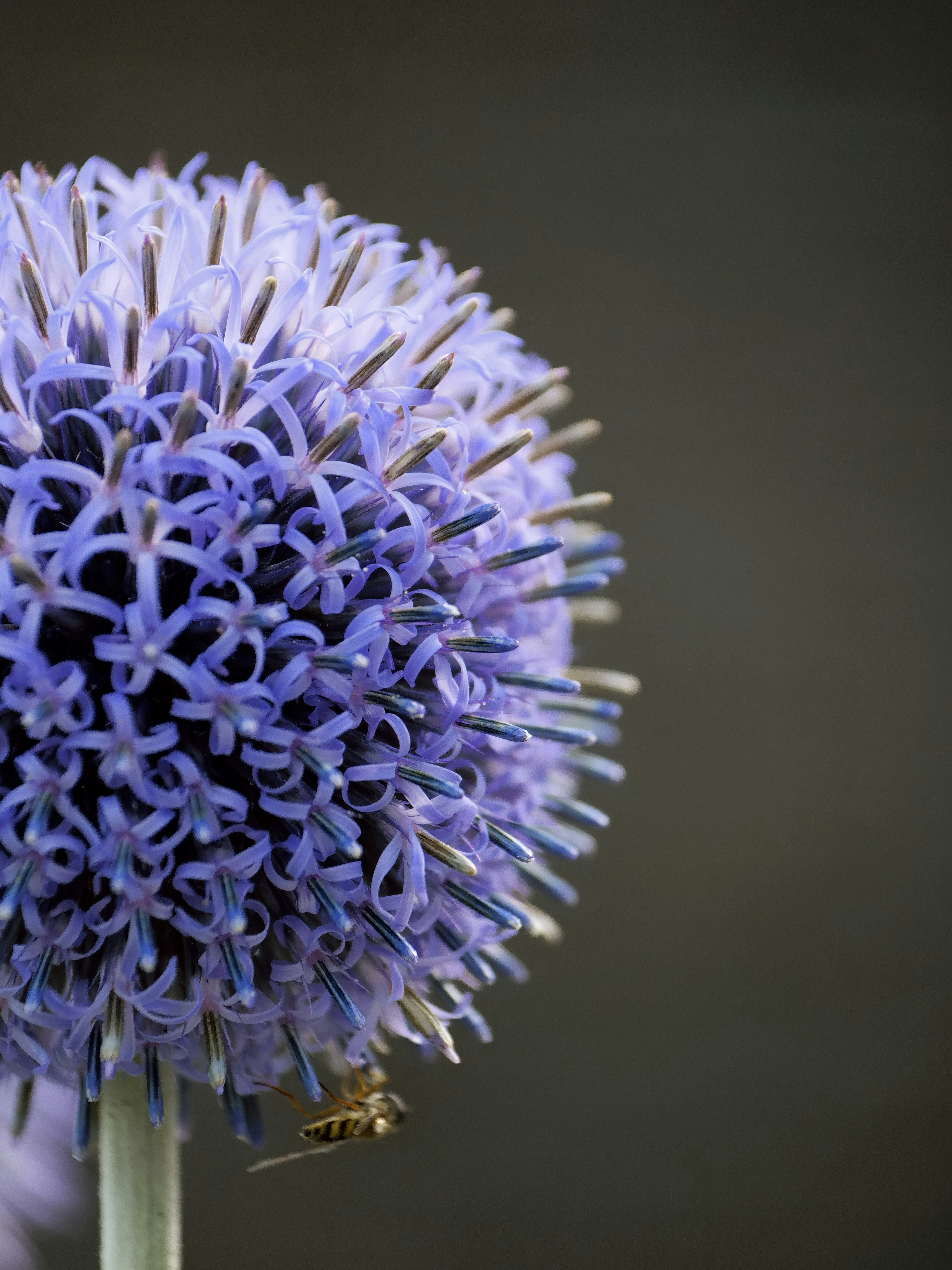 Photo by balmy_sunset