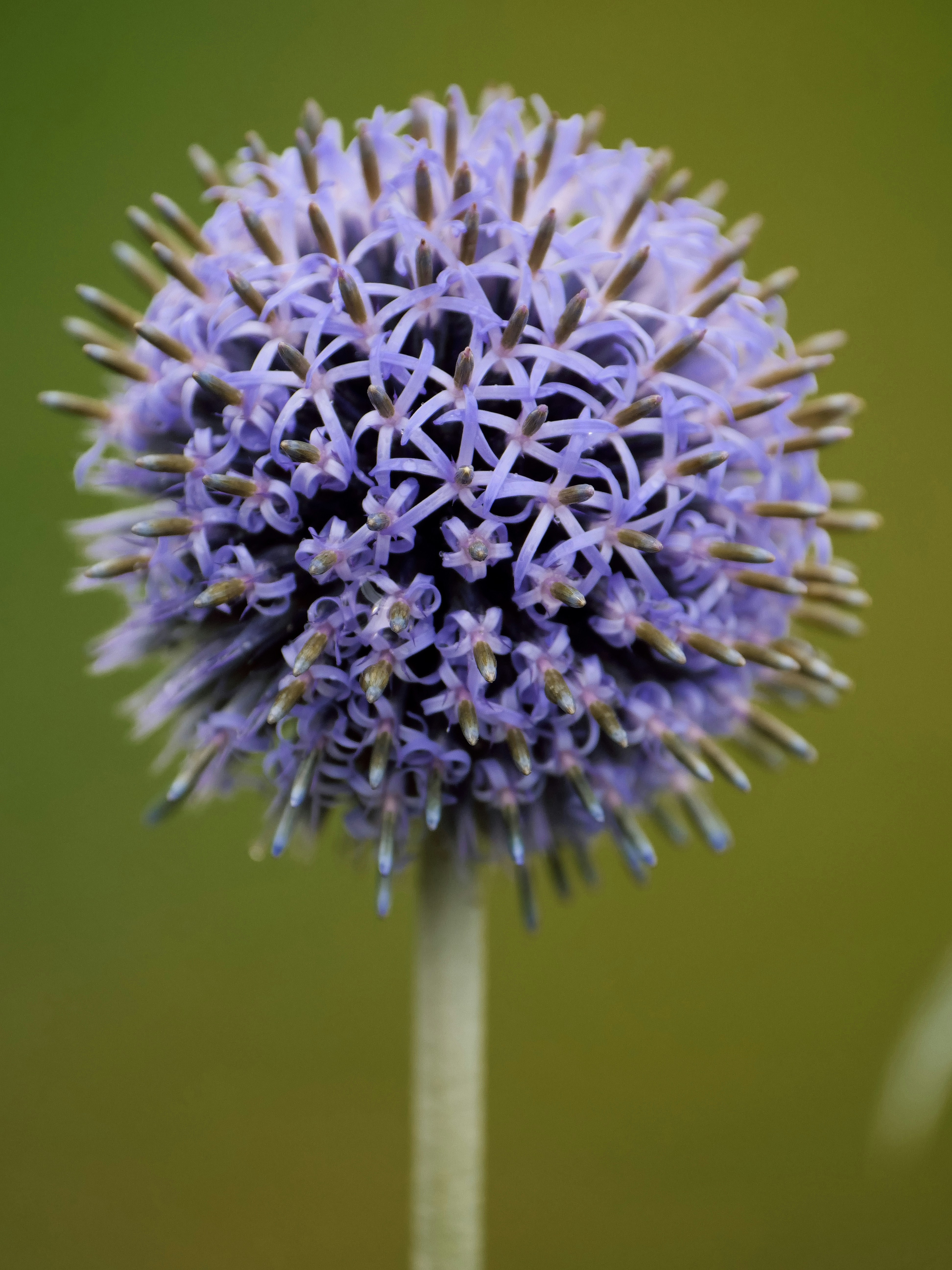 Photo by balmy_sunset