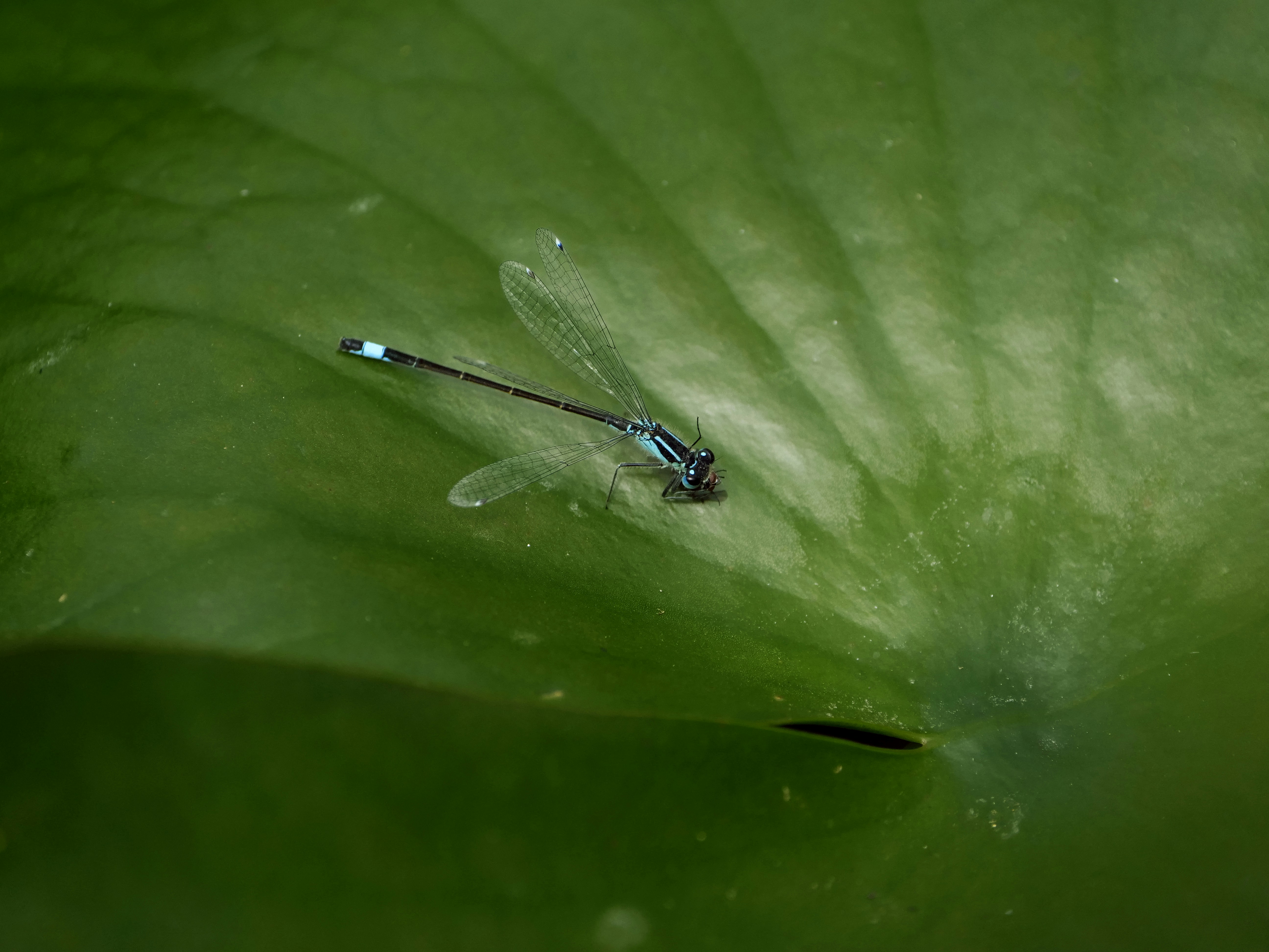 Photo by balmy_sunset