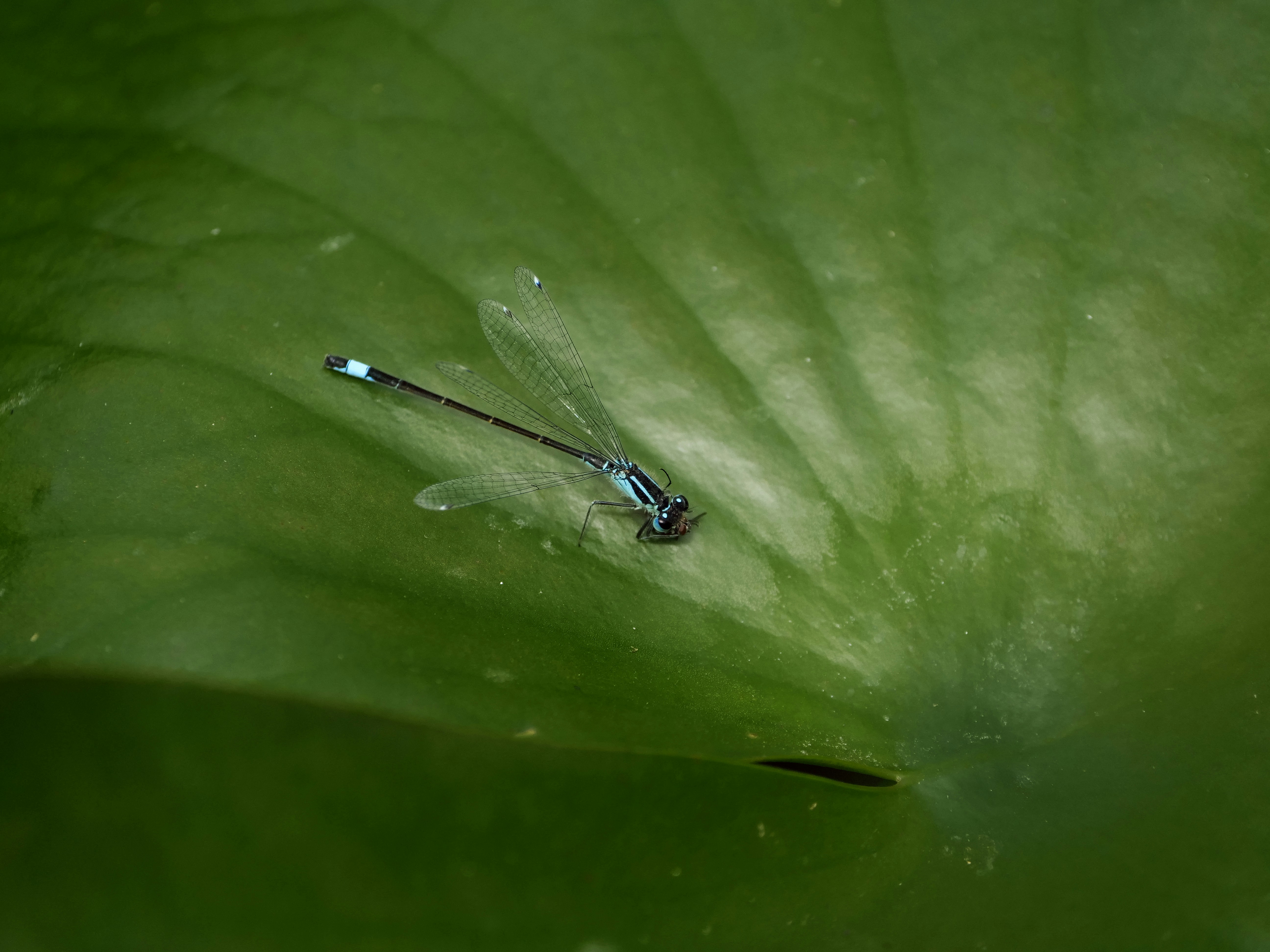 Photo by balmy_sunset