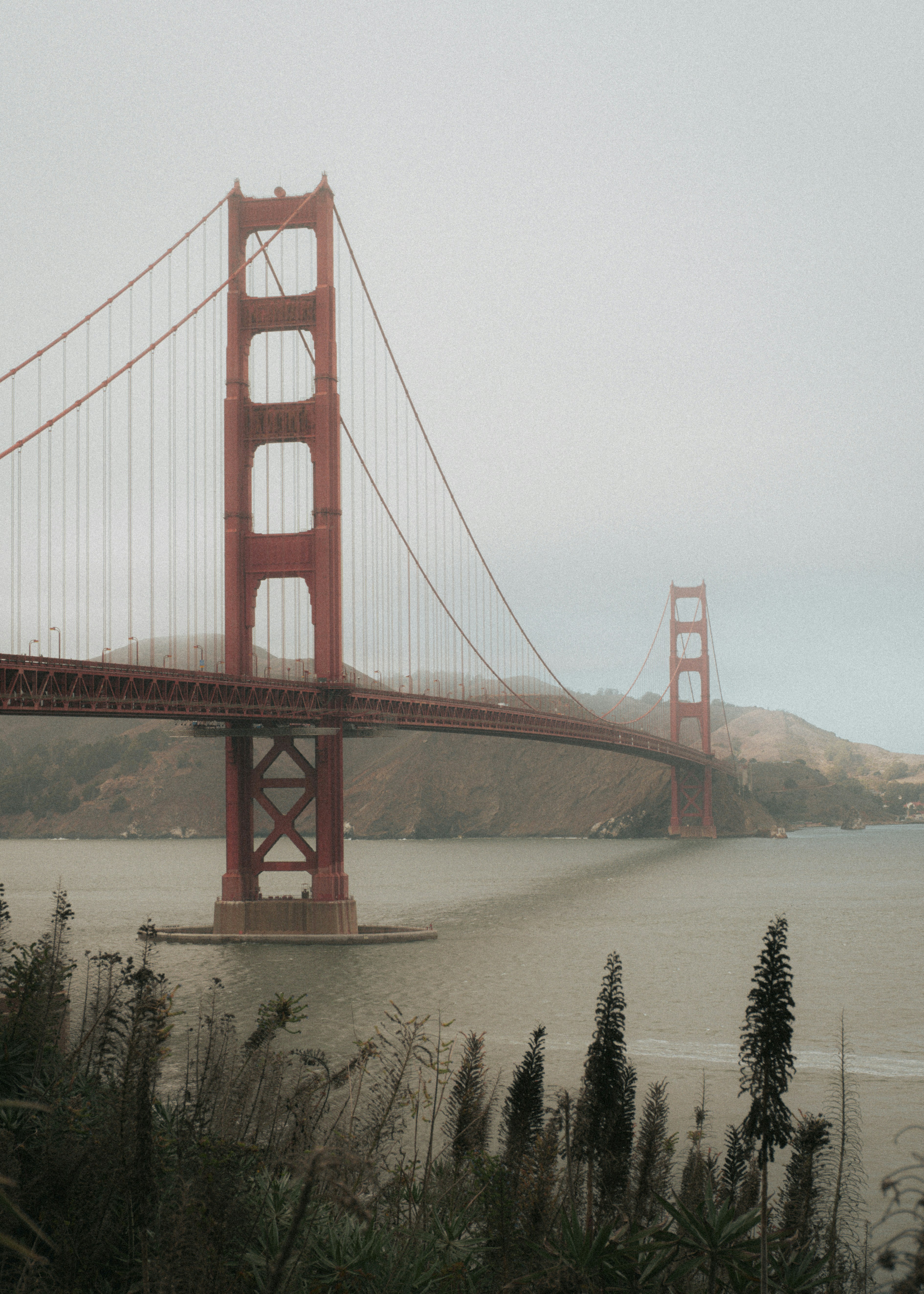 Golden gate bridge shrouded in fog over the bay