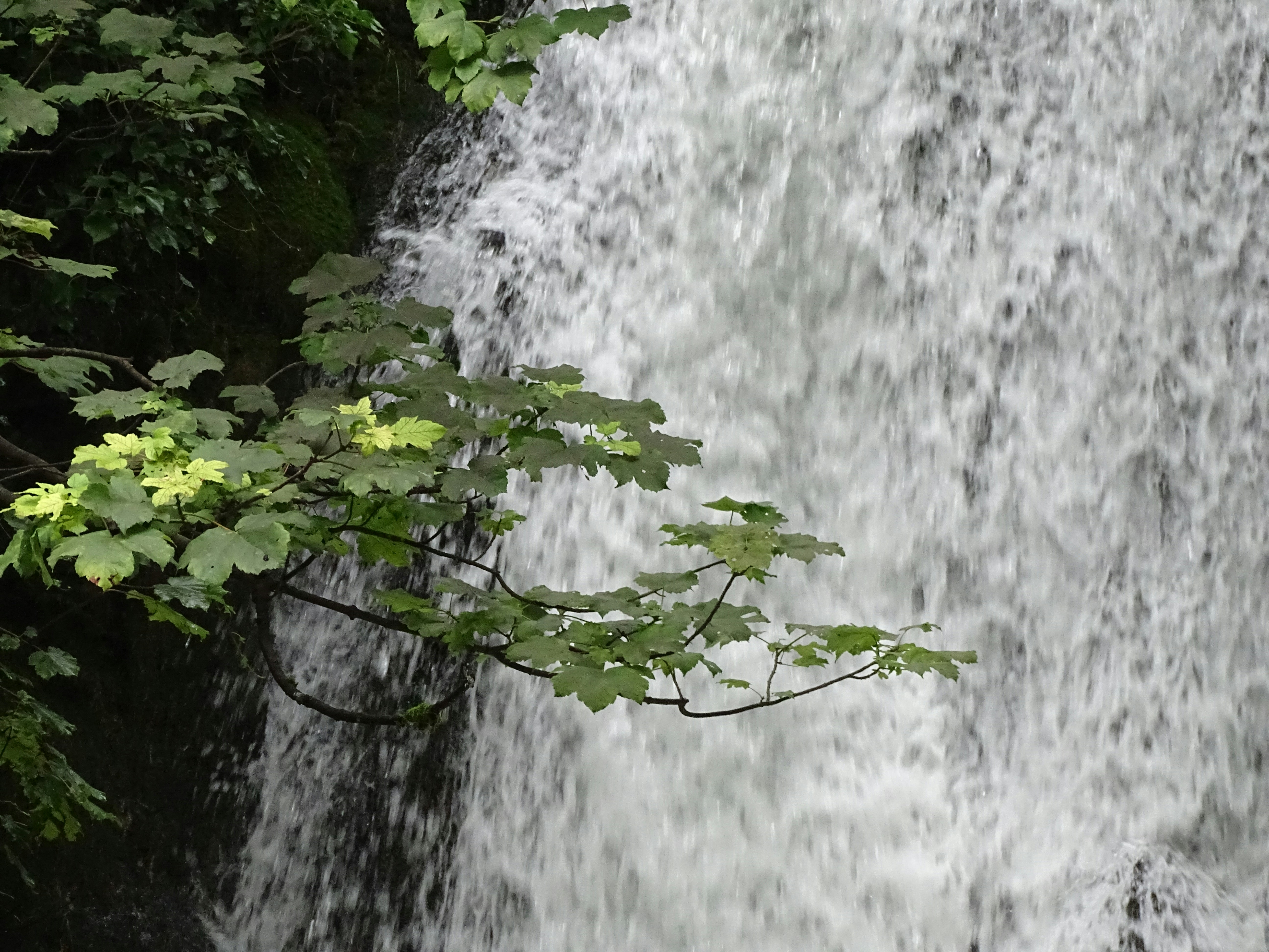 Photo by stevengbrown