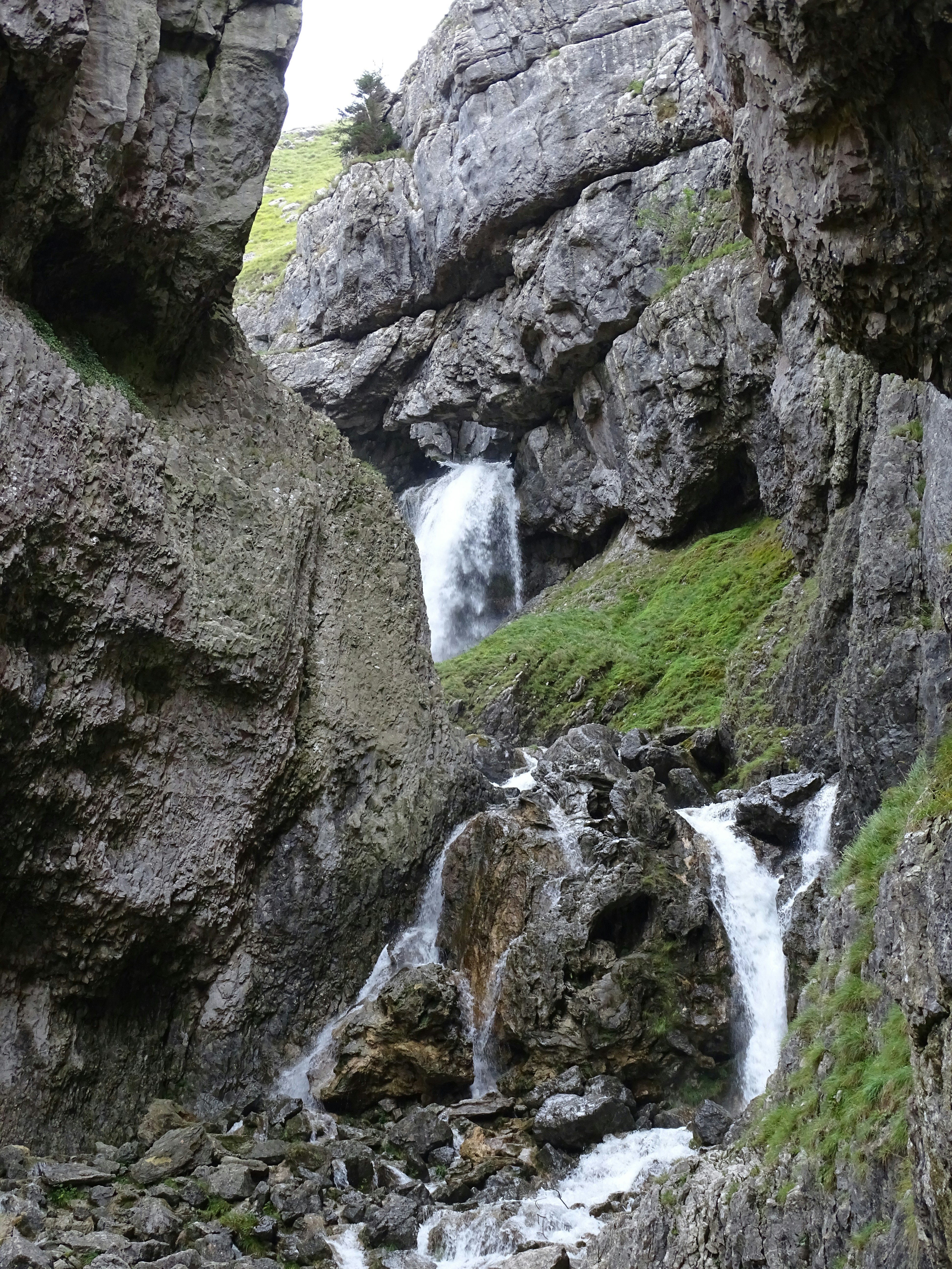 Photo by stevengbrown