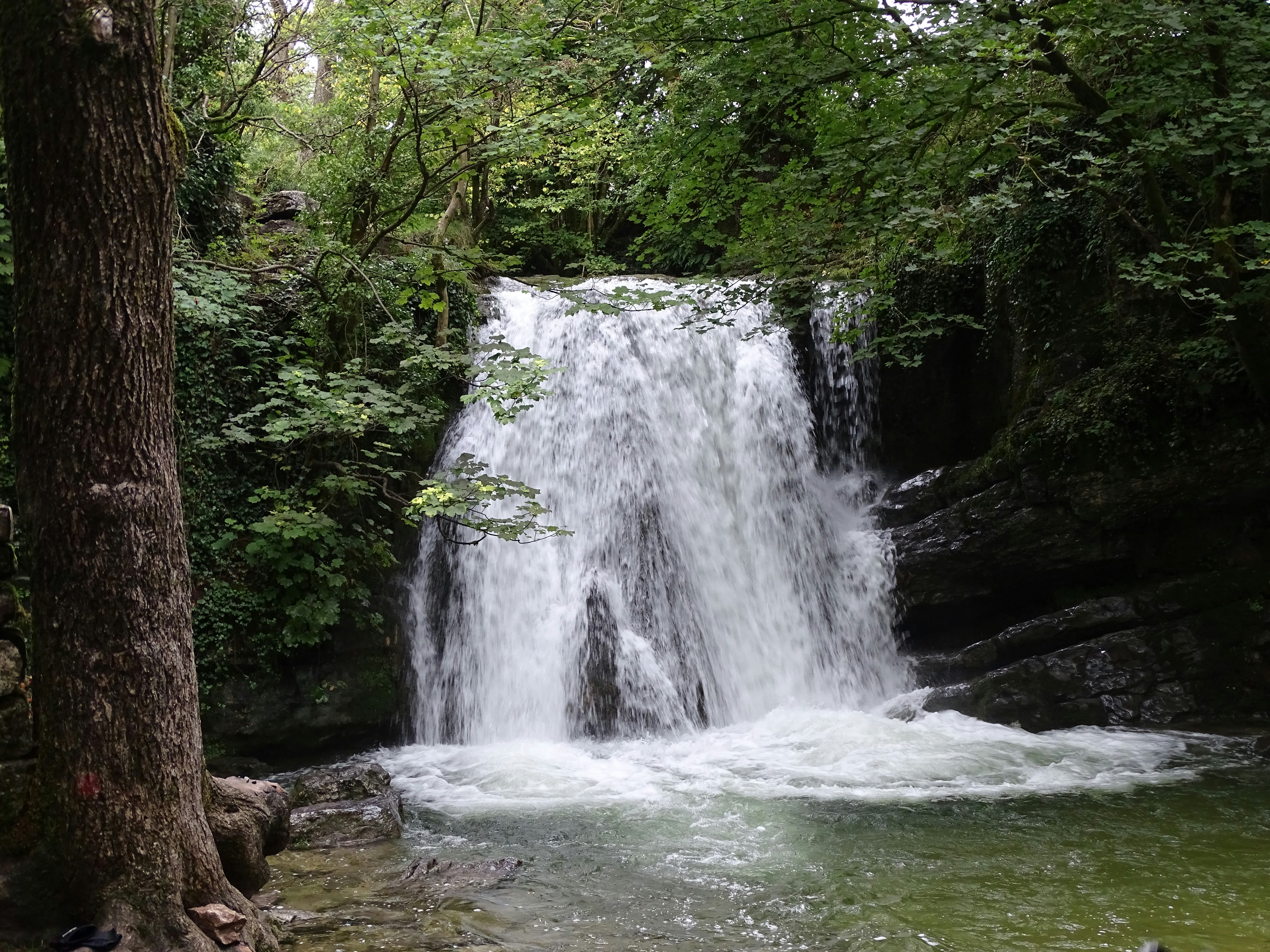 Photo by stevengbrown