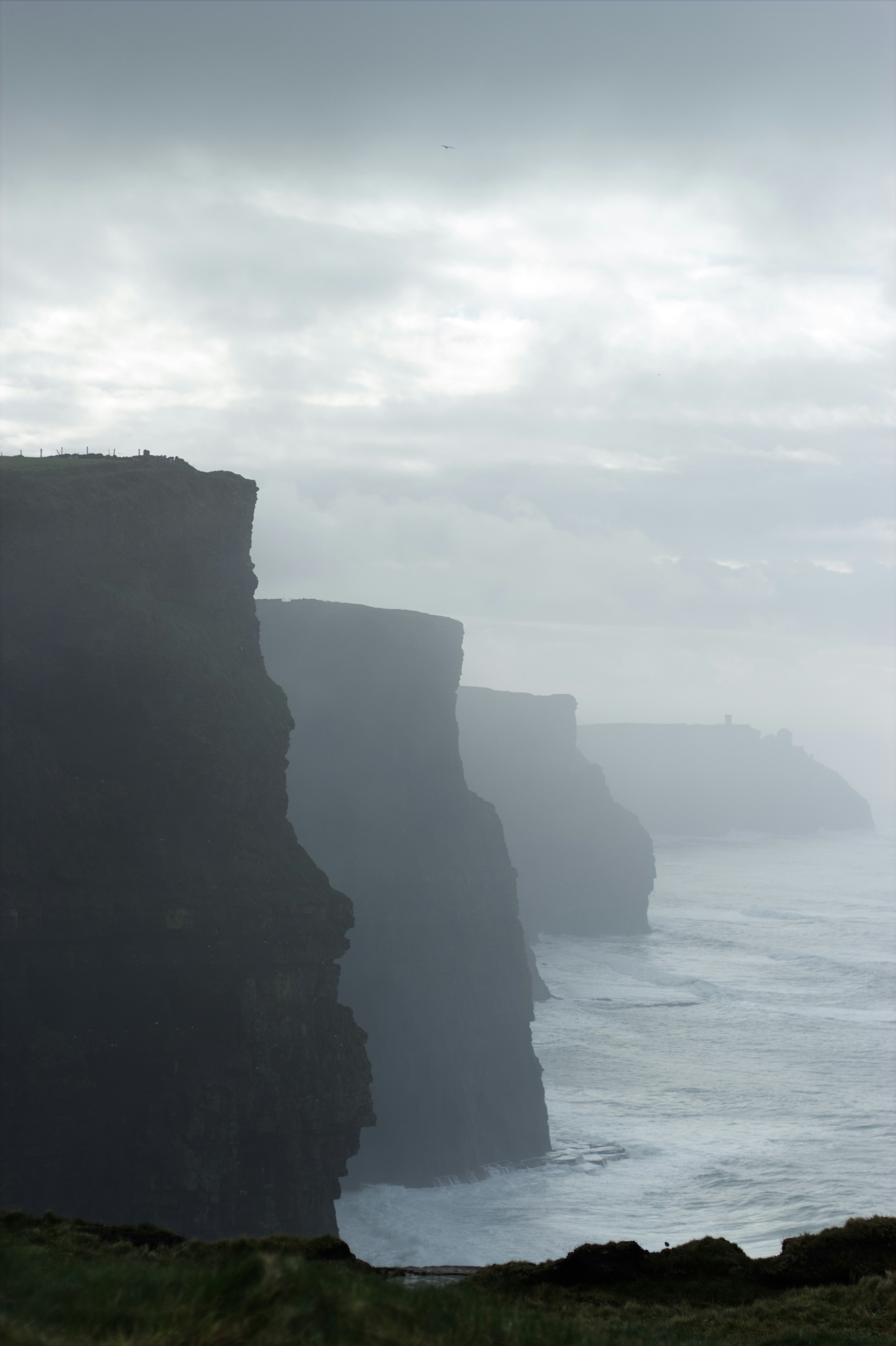 Photo by madbadfatduck