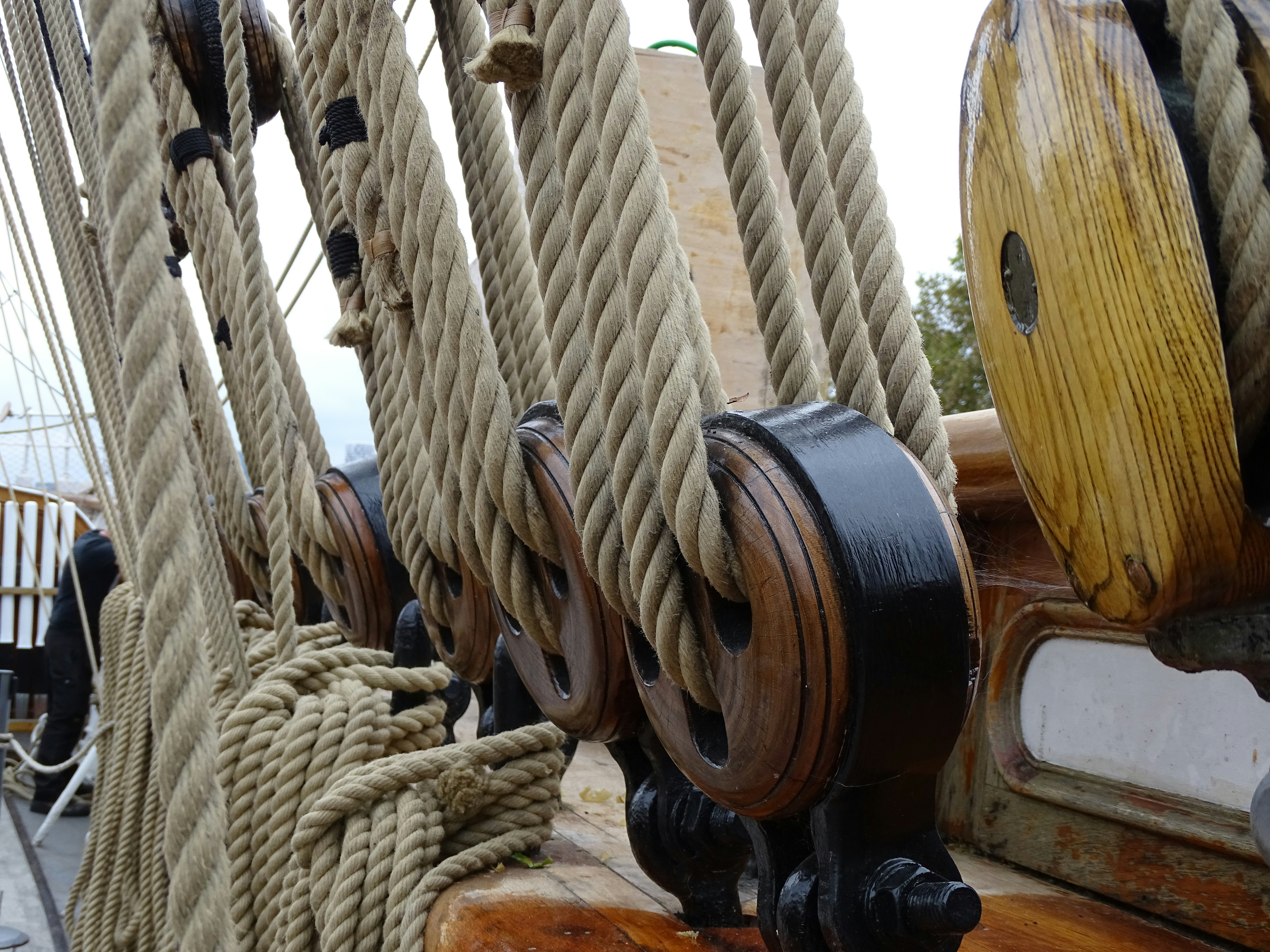 Close-up of rigging and wooden blocks on a sailing ship