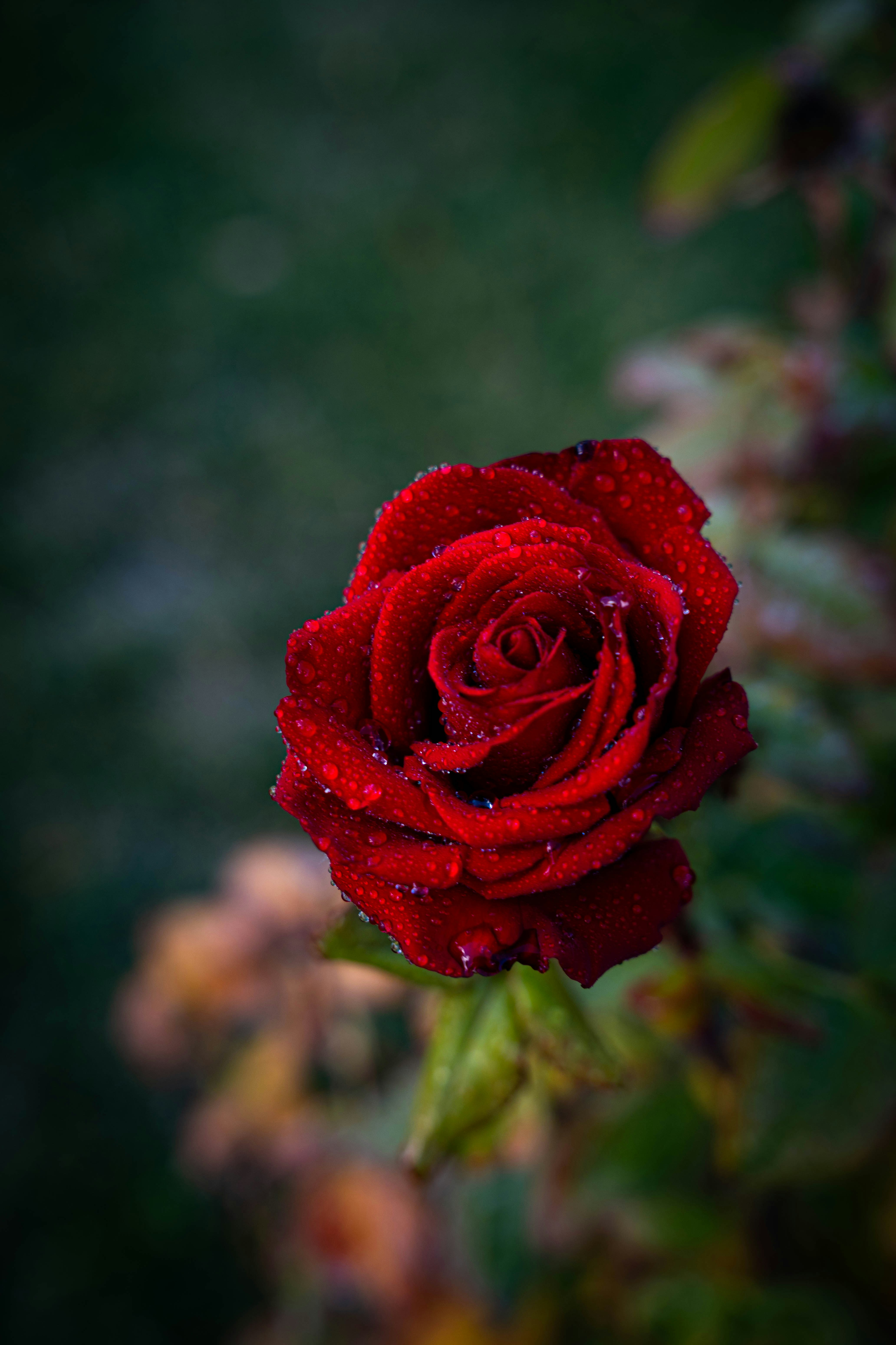 Photo by maviatlas