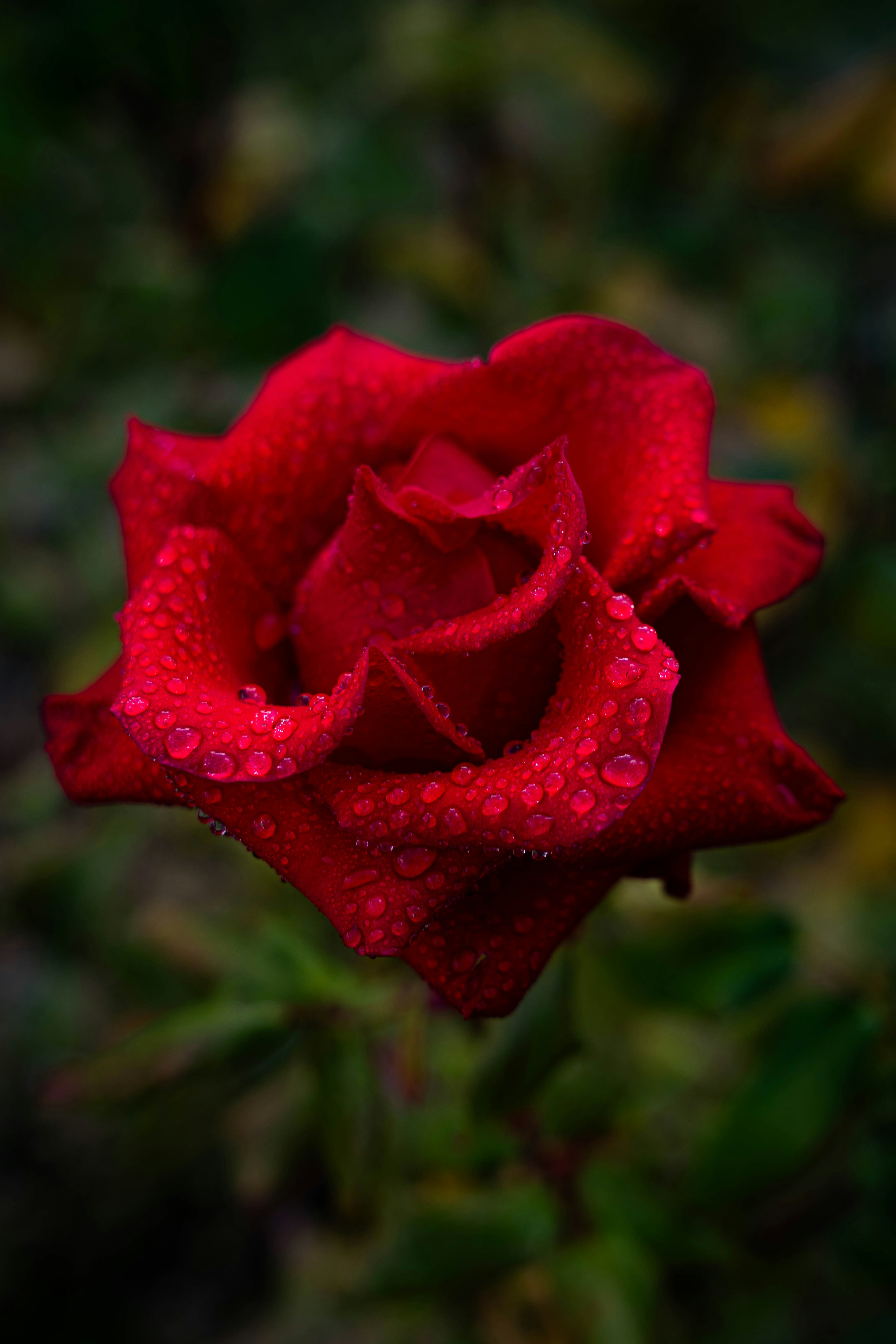 Photo by maviatlas