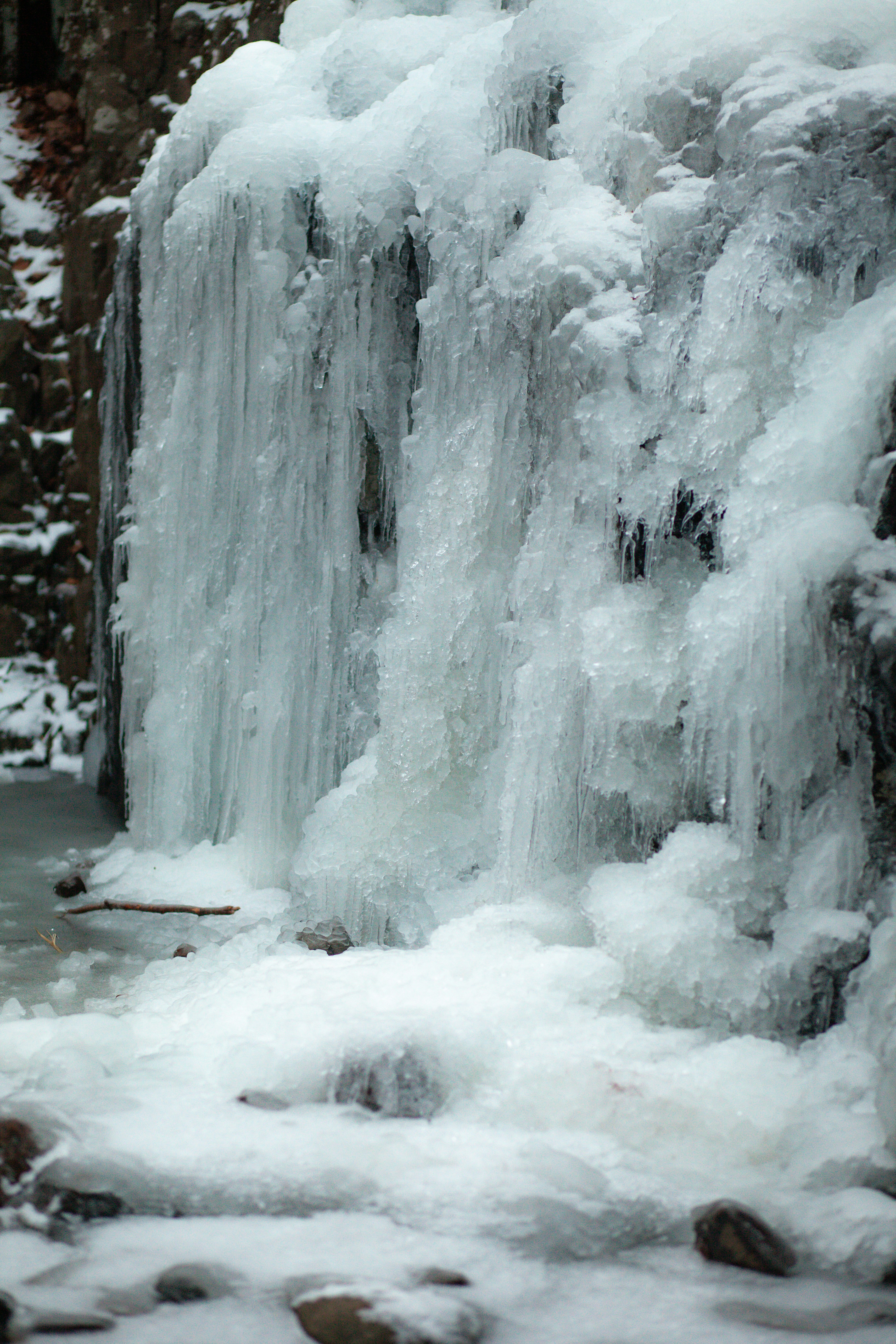 Photo by thegardenstateexplorerr