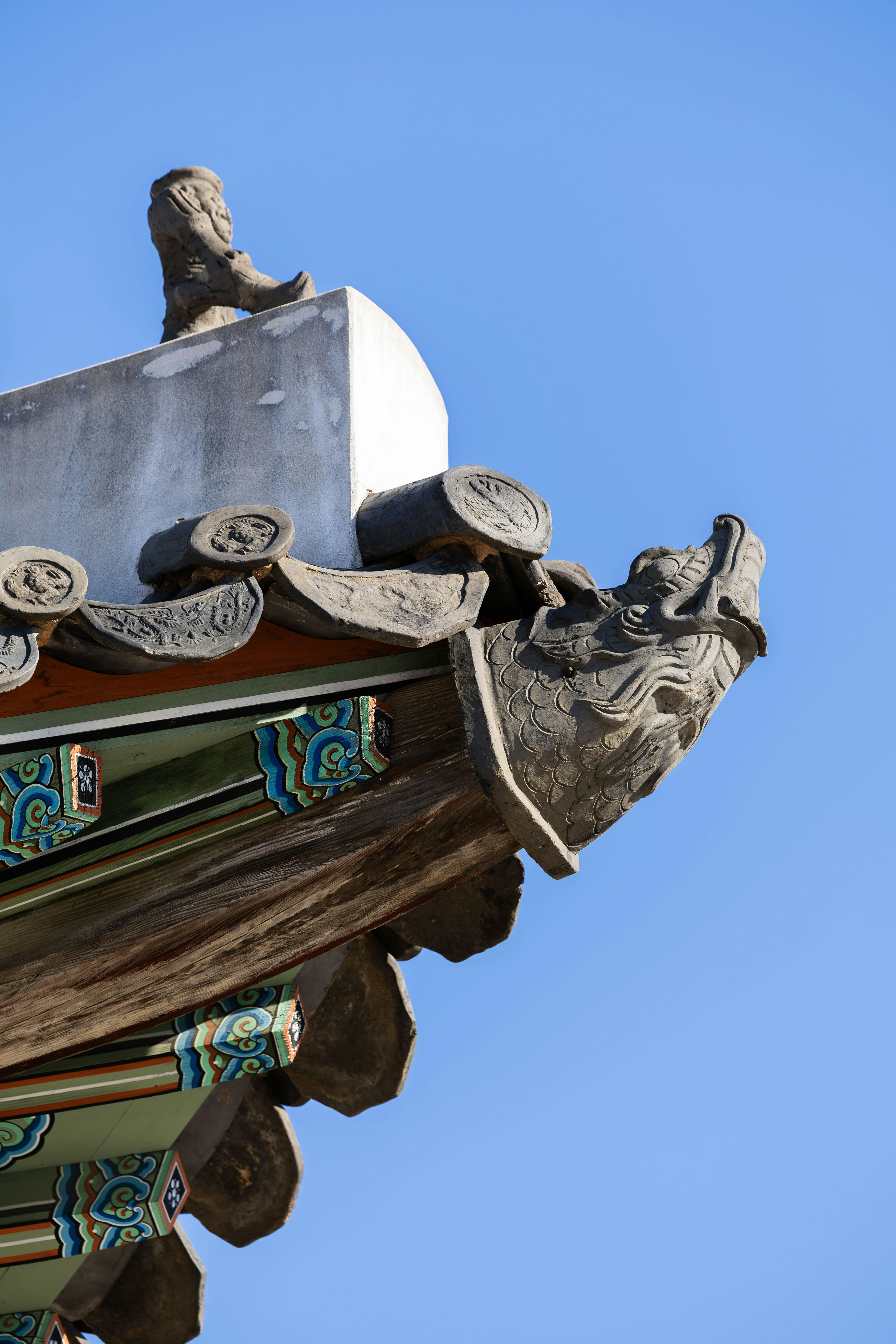 Photo by yangluhan091