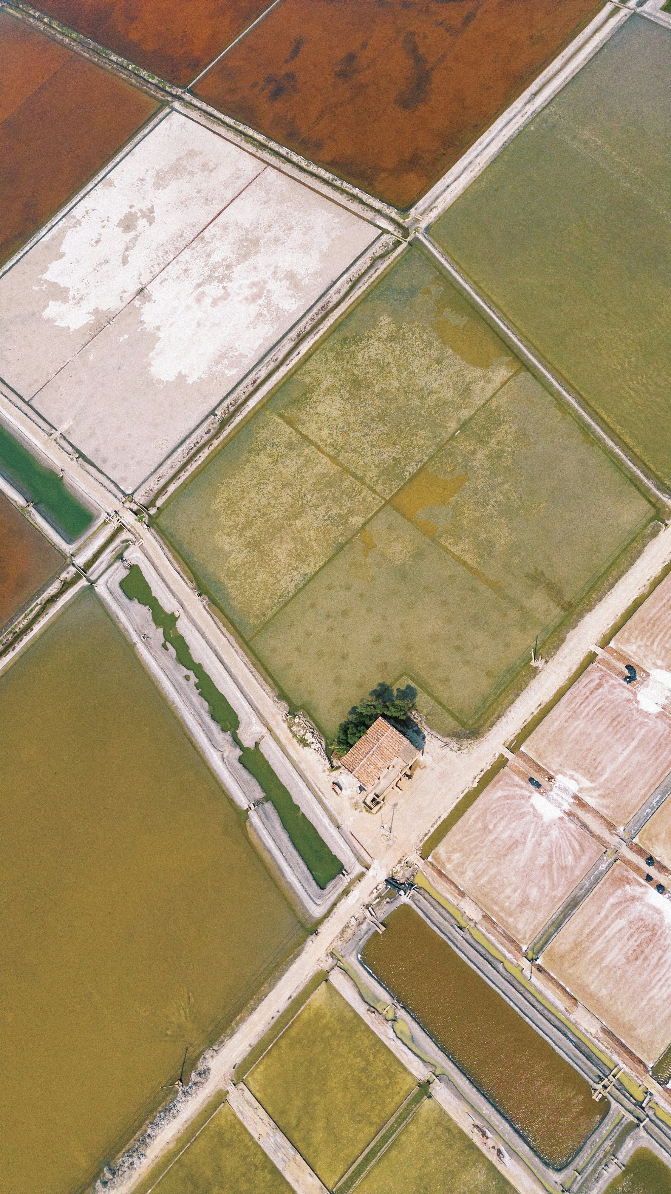 Aerial view of salt evaporation ponds with a small building.