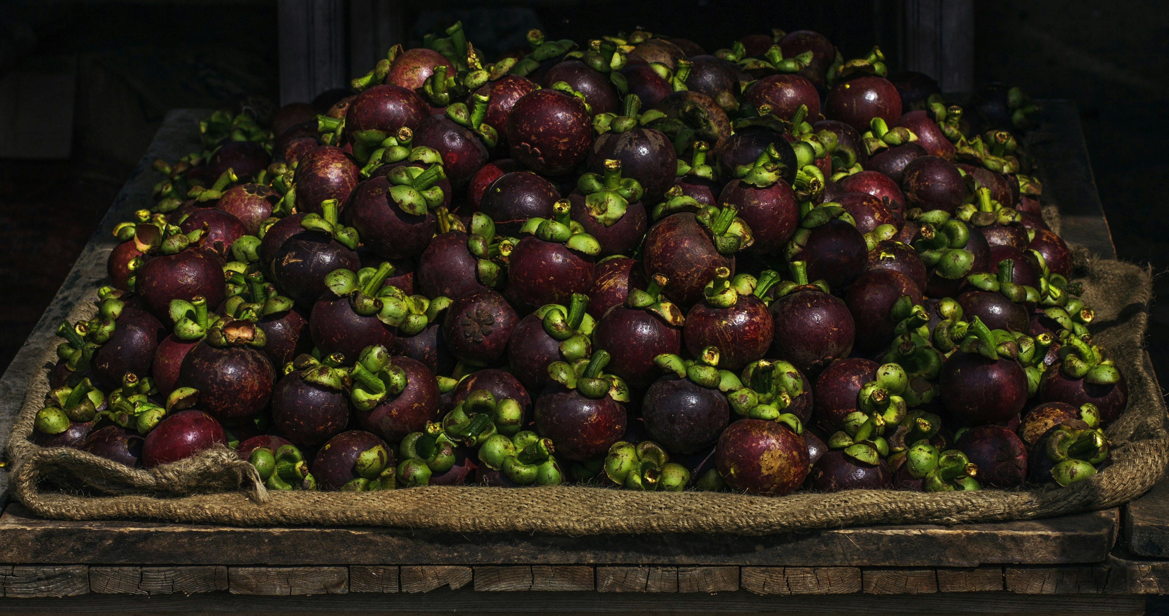 A large pile of fresh mangosteens on burlap