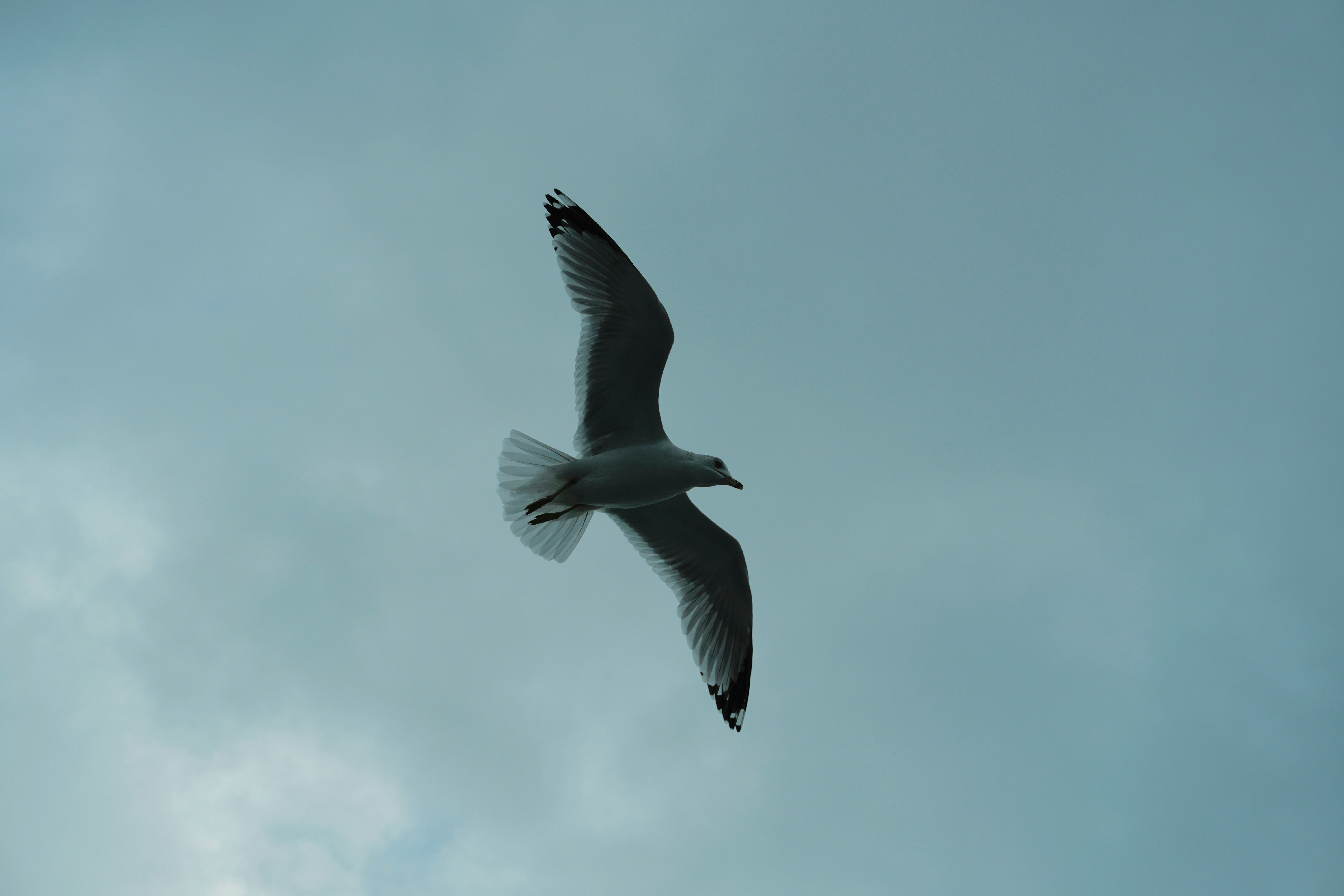 Photo by photobyrubs