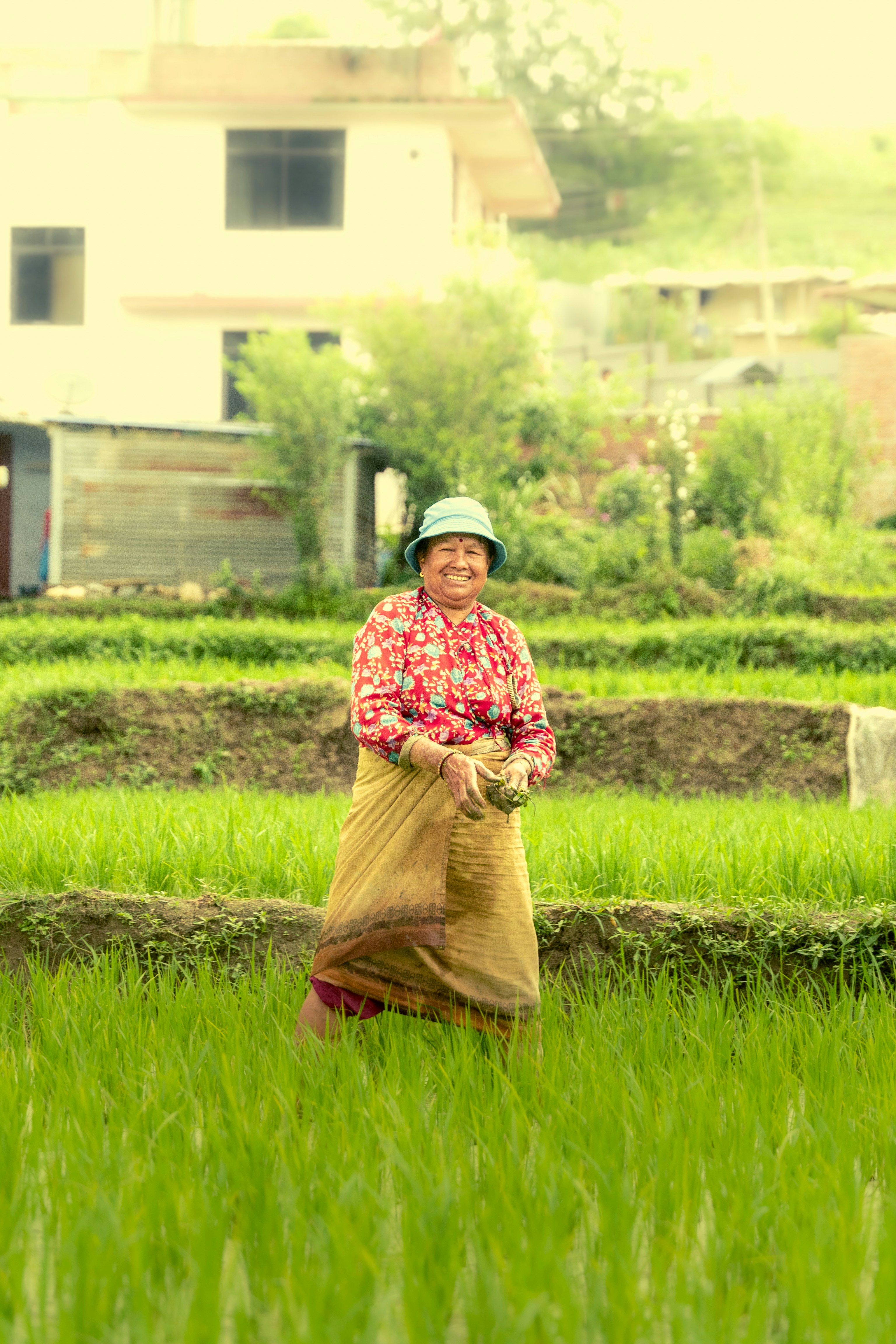 Elderly woman in a rice paddy smiles warmly smiling