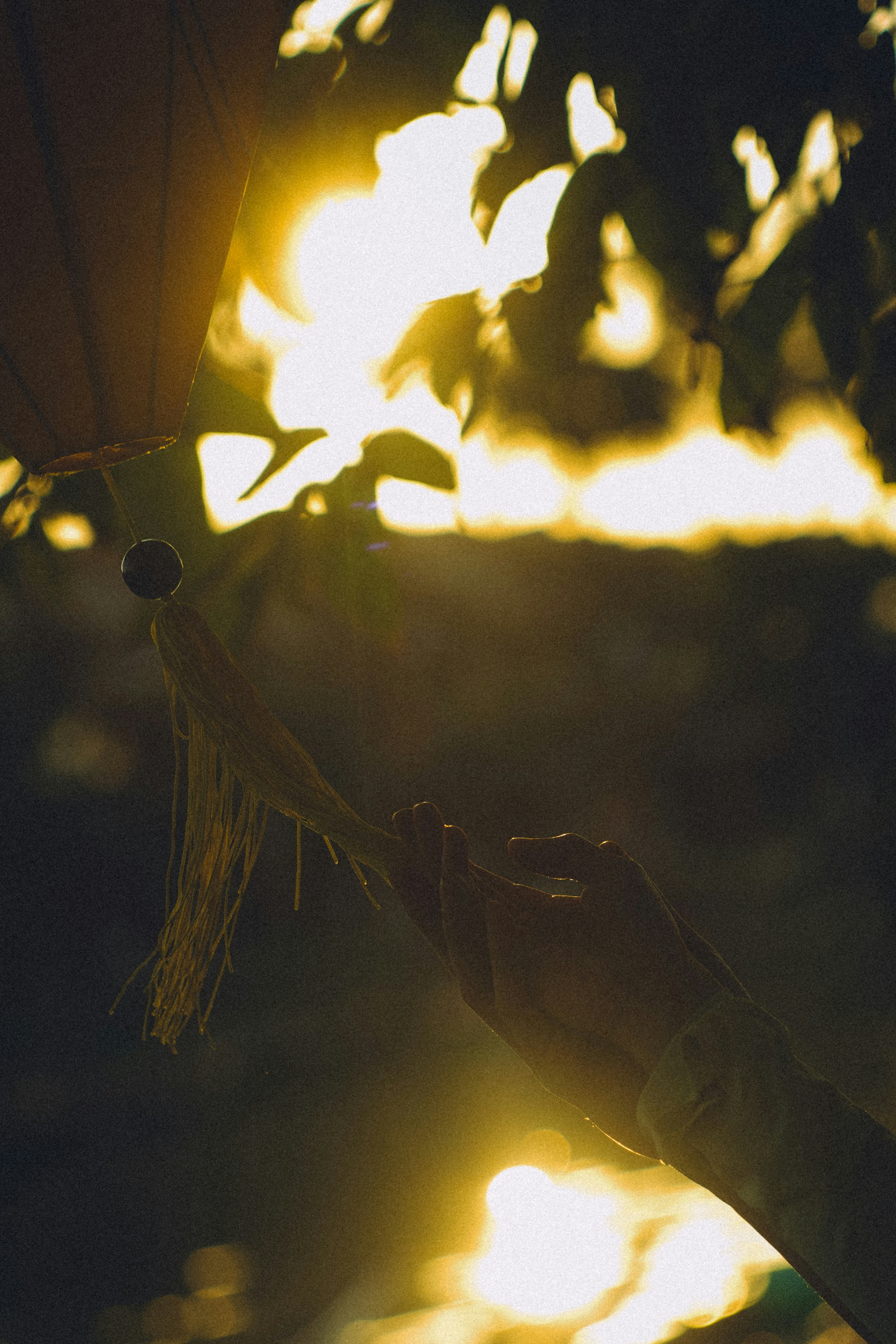 Photo by hoianphotographer