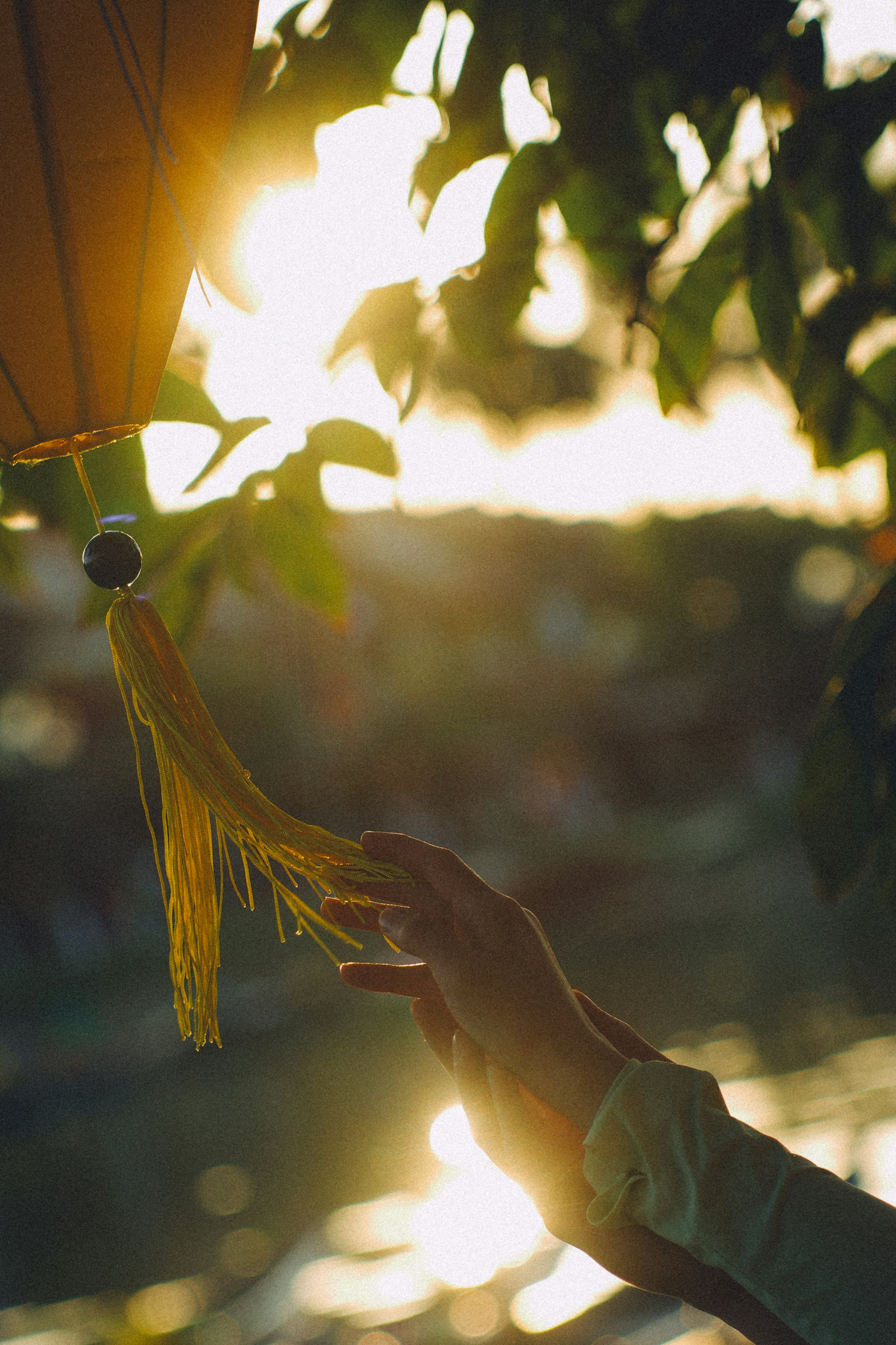 Photo by hoianphotographer