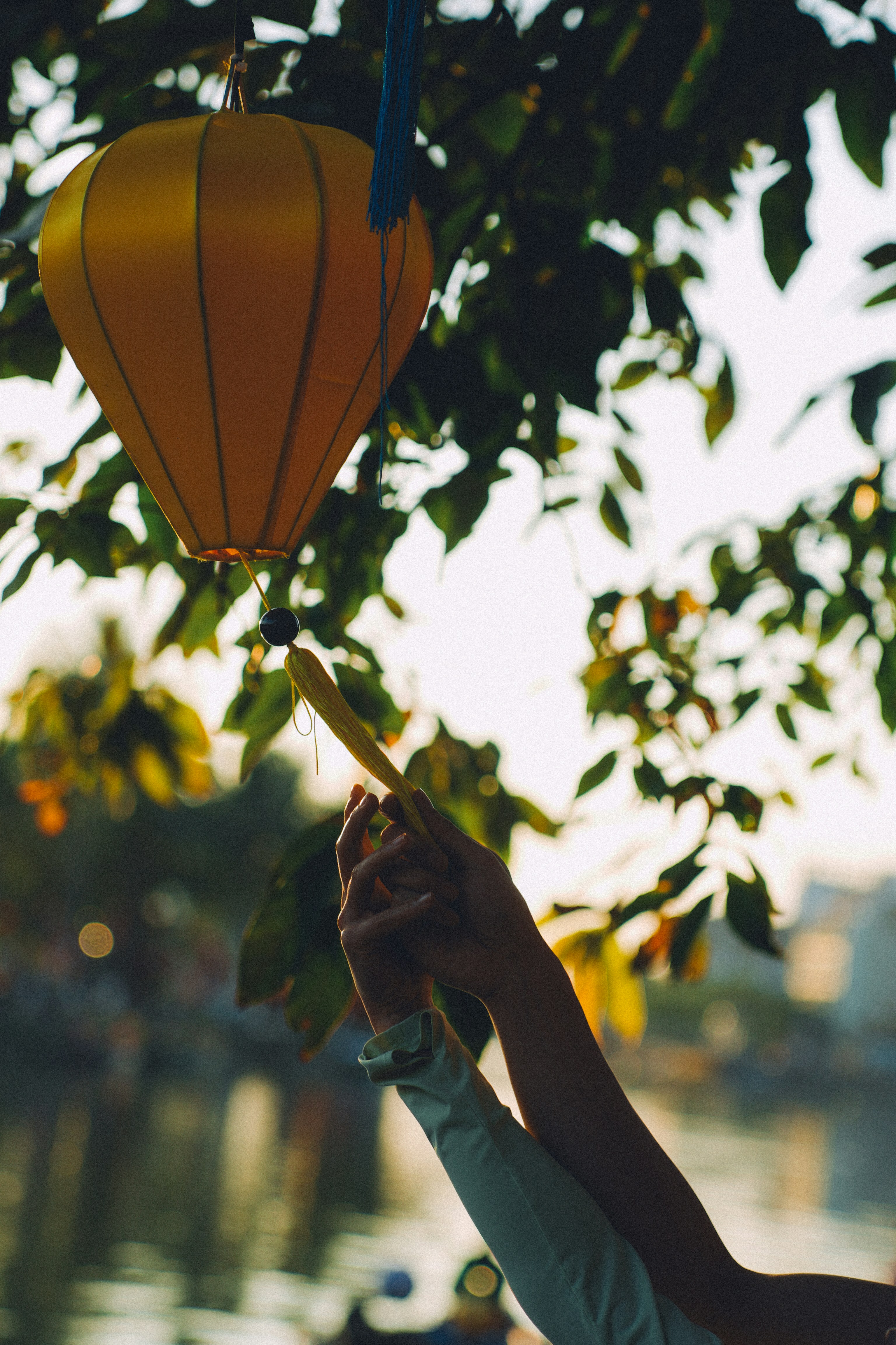 Photo by hoianphotographer