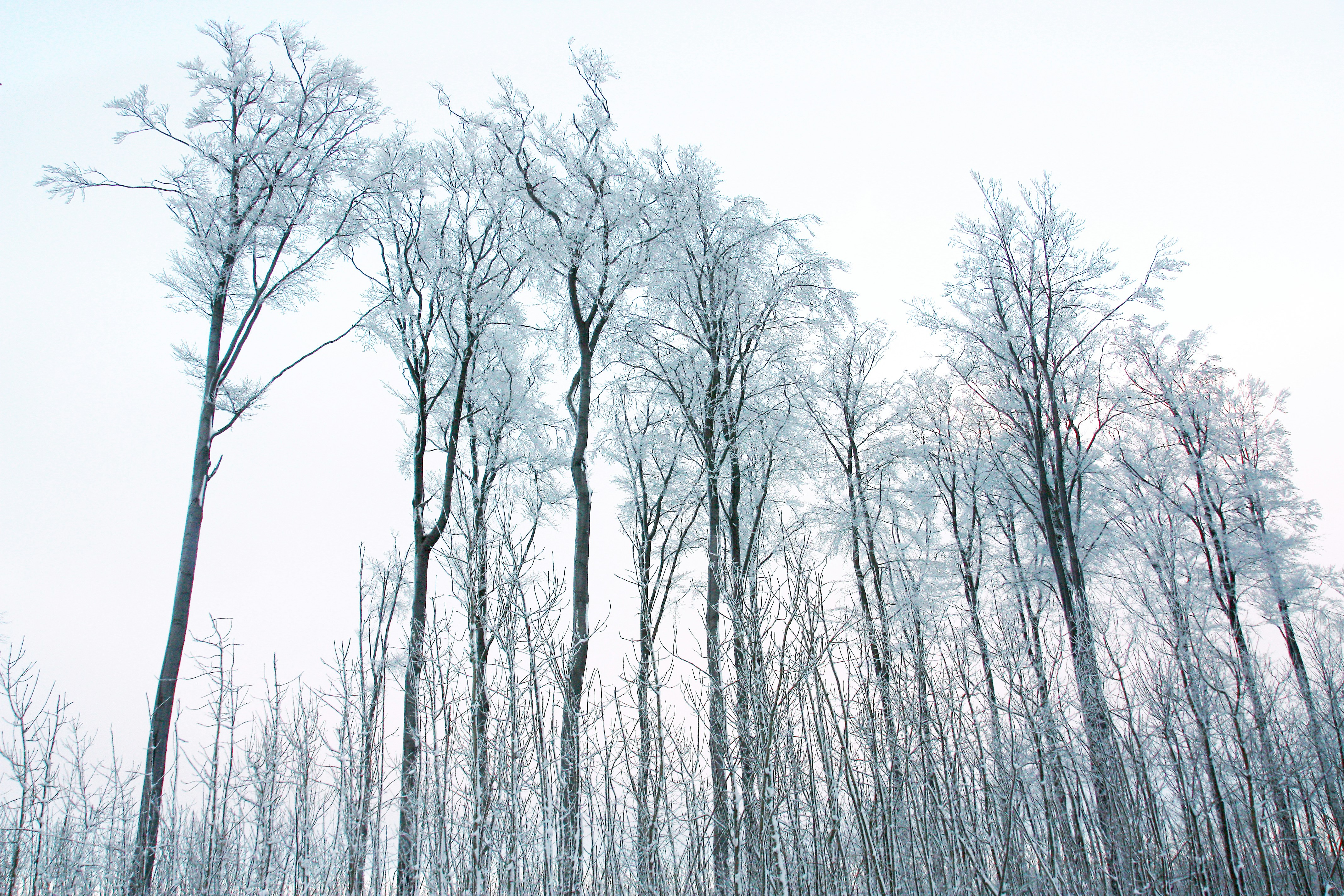 Photo by fotokomplizin