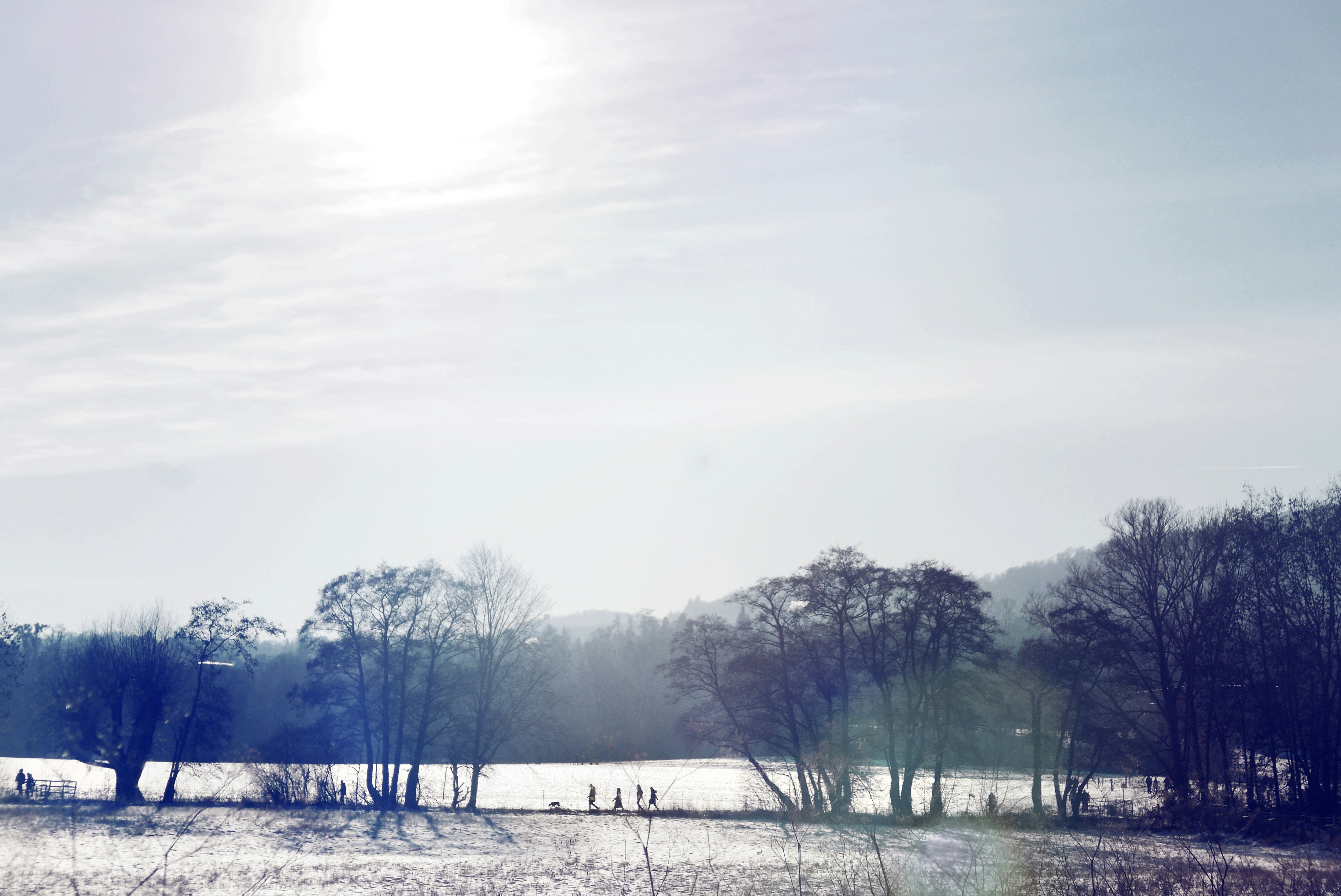 Photo by fotokomplizin