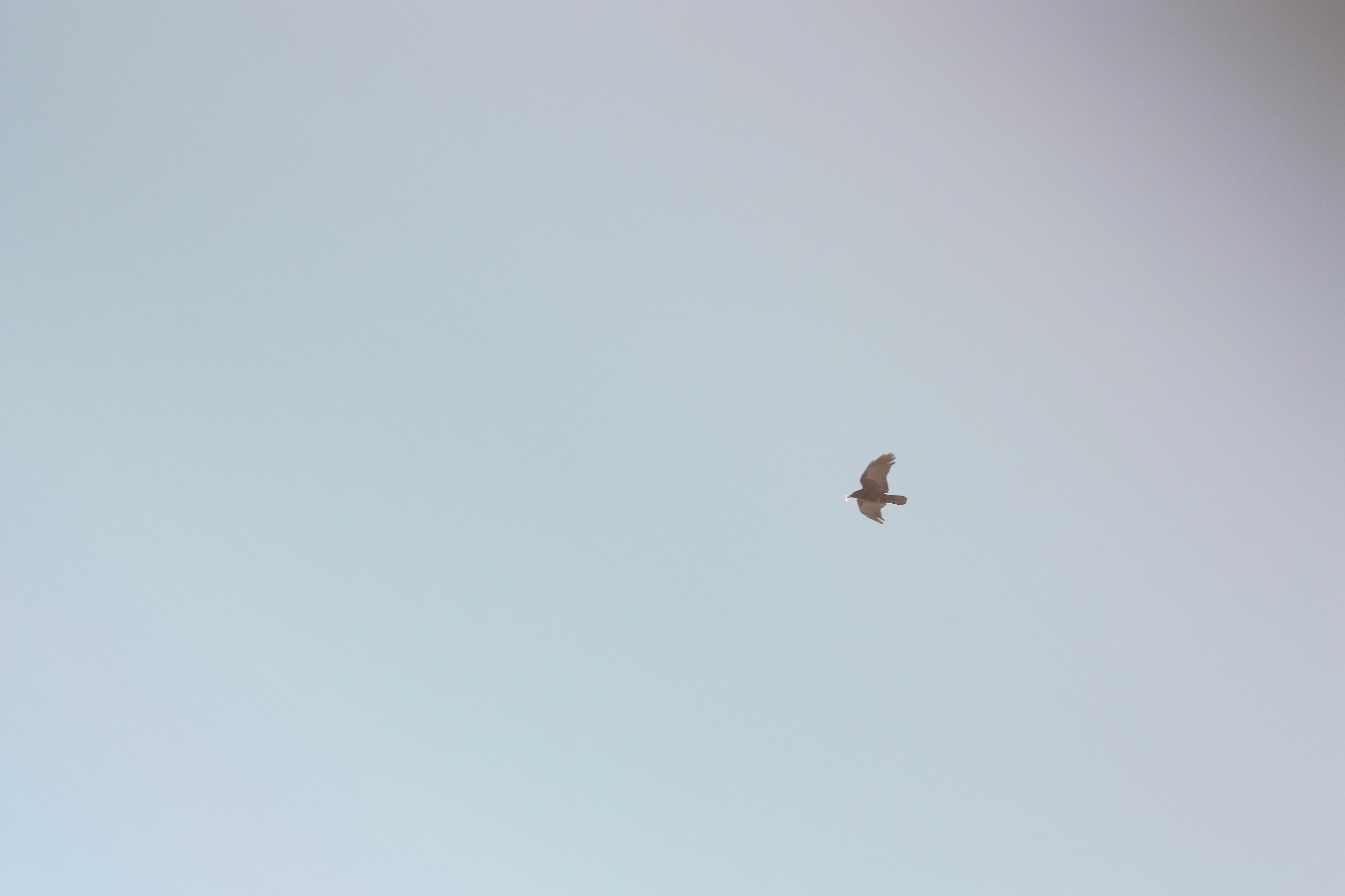 Photo by fotokomplizin