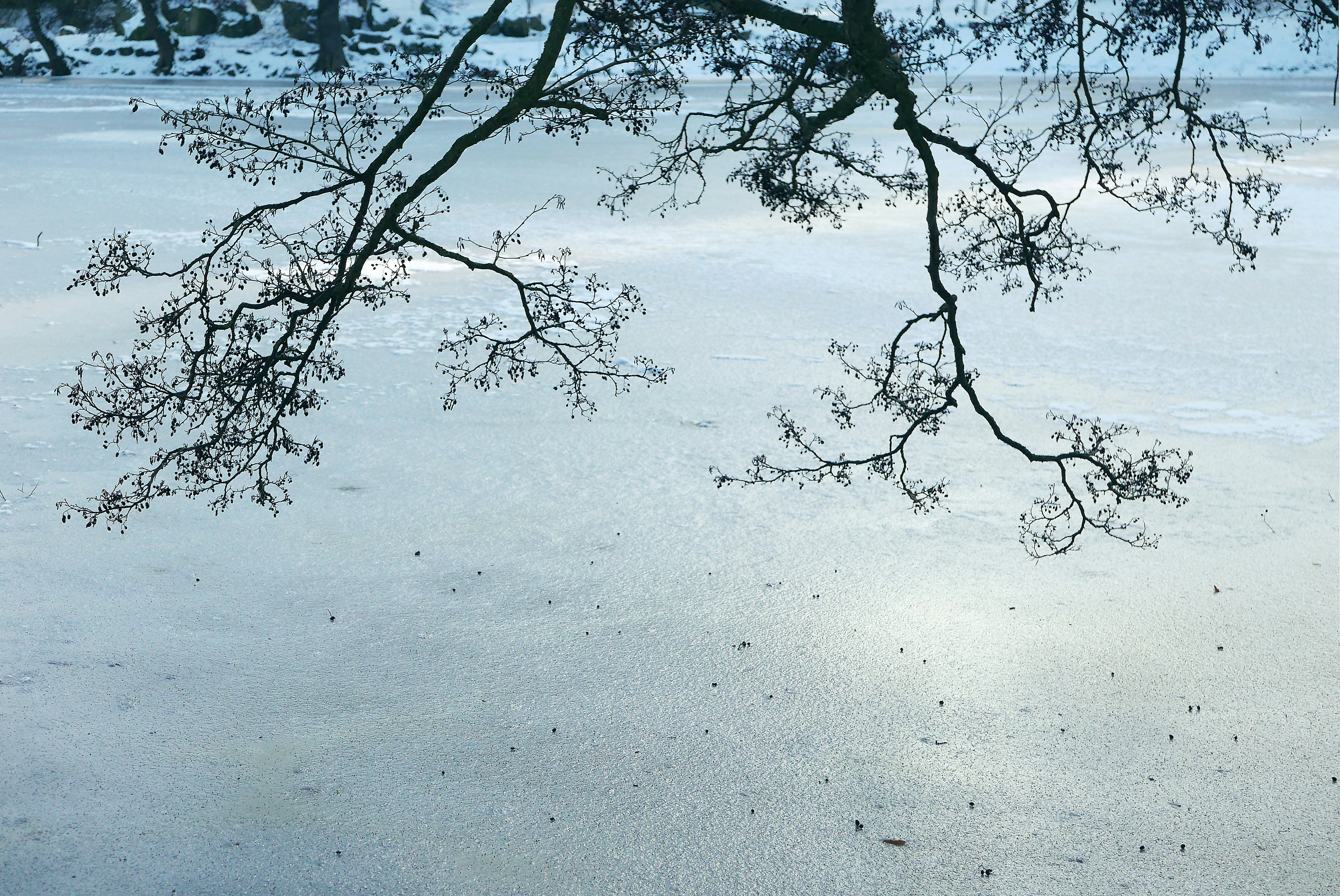 Photo by fotokomplizin