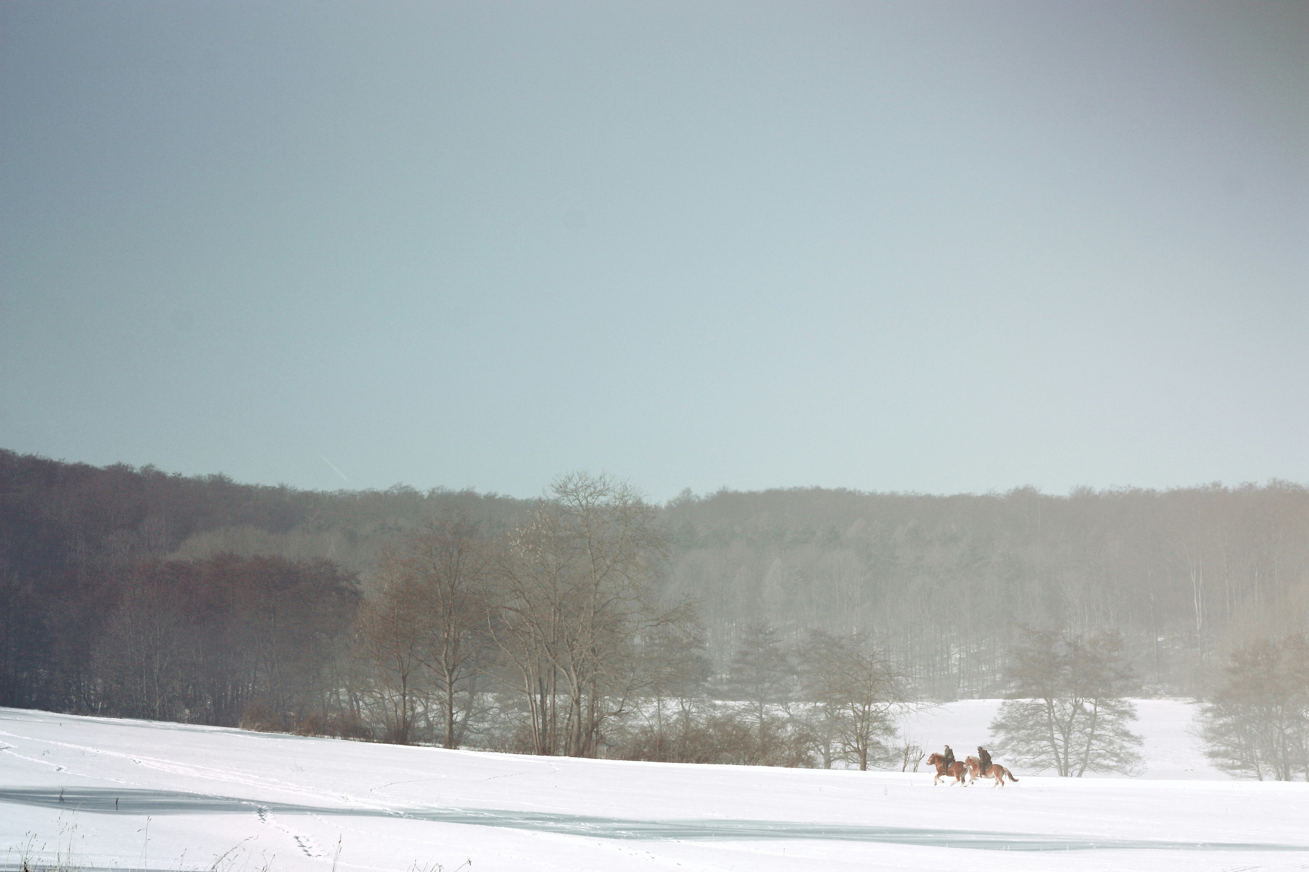 Two people riding horses through a snowy field.