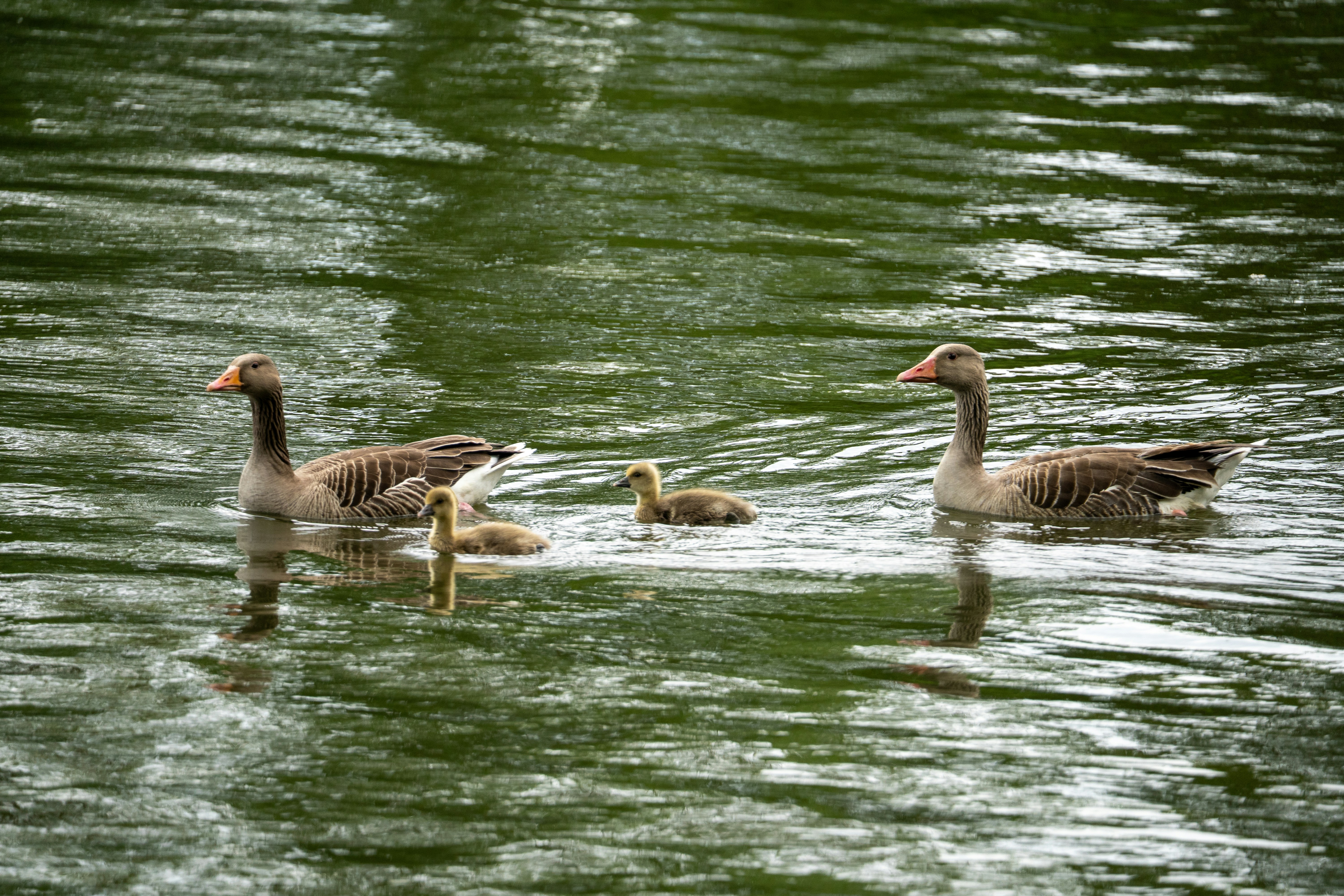 Photo by niall_smith