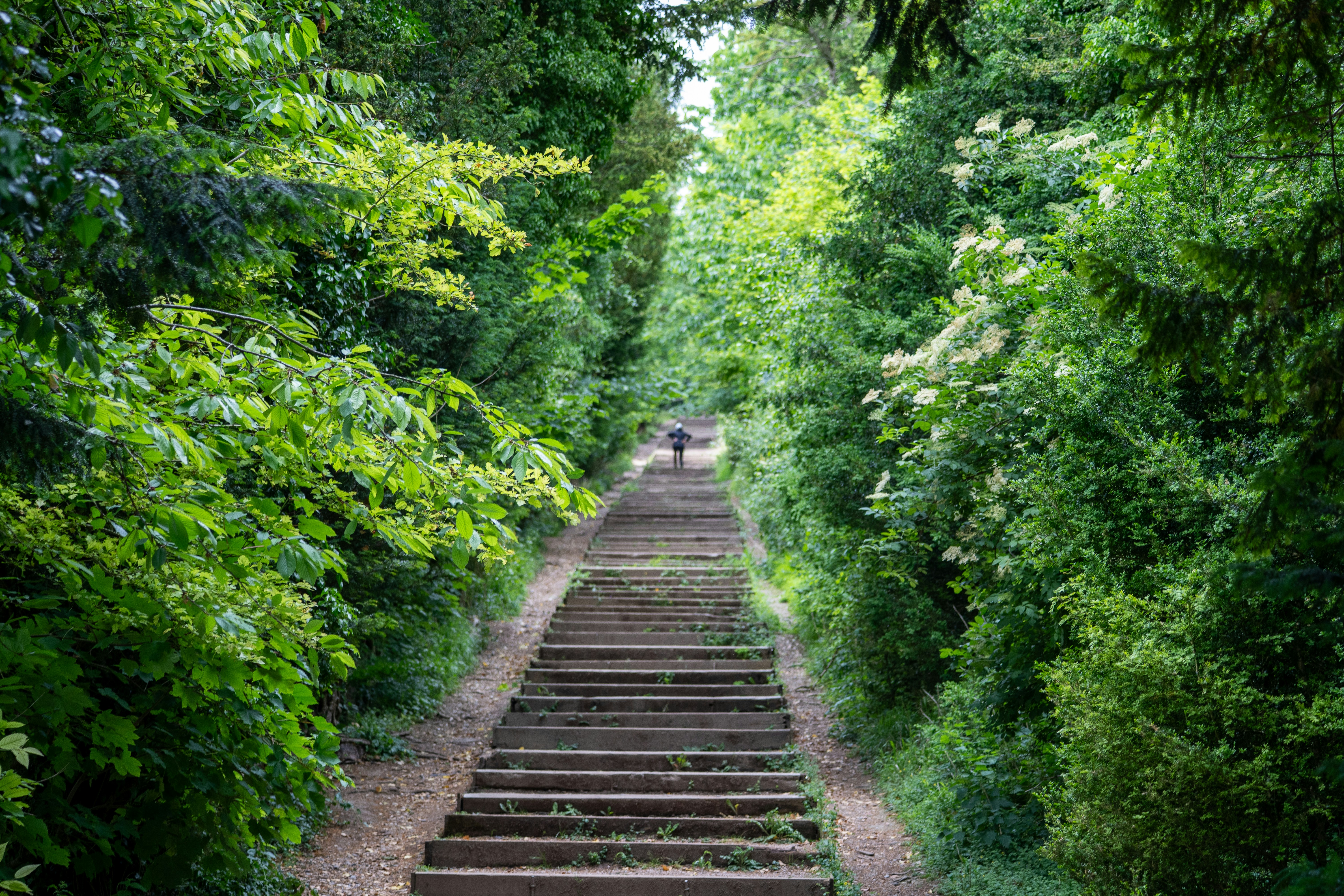 Photo by niall_smith