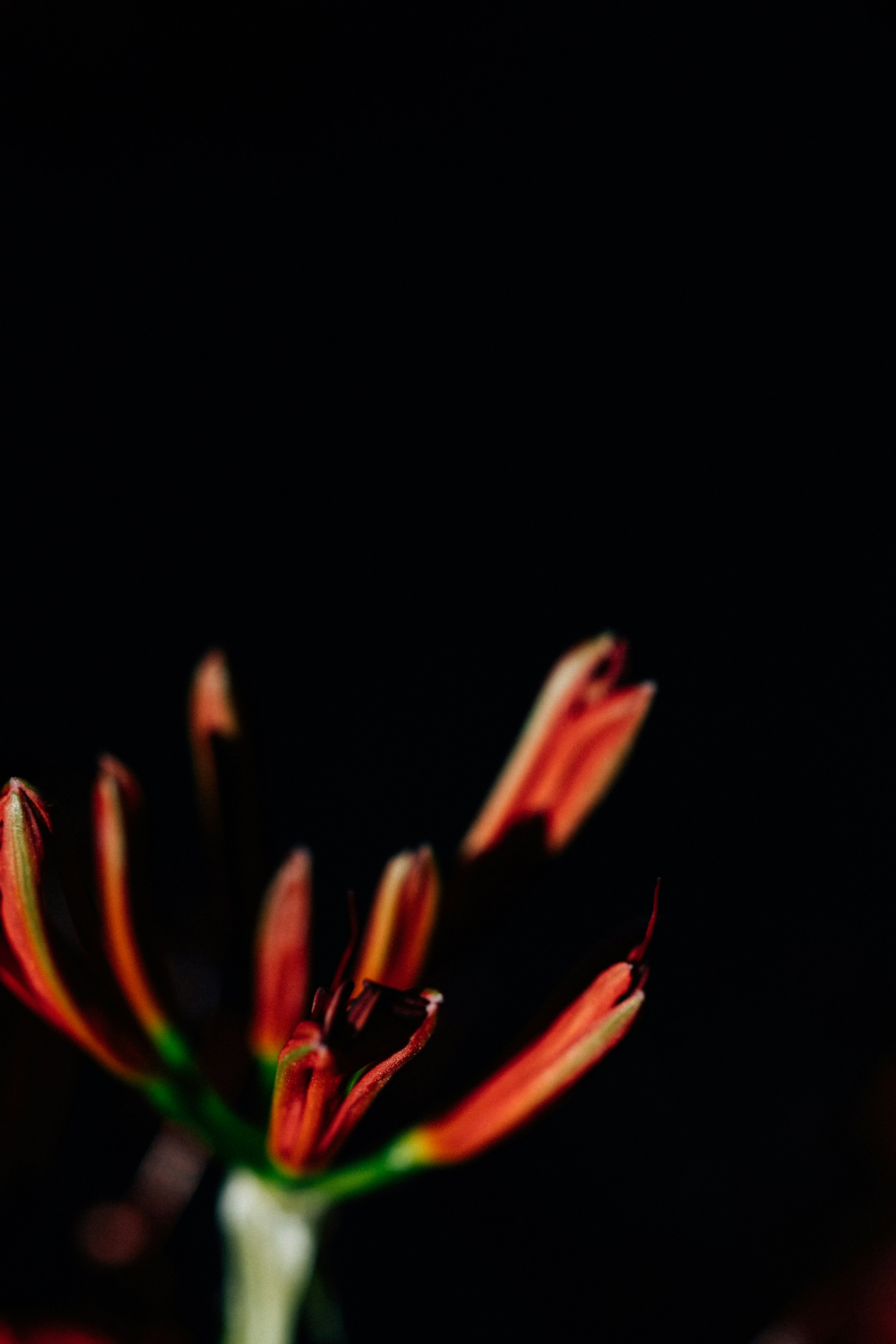 Photo by tsuyoshikozu