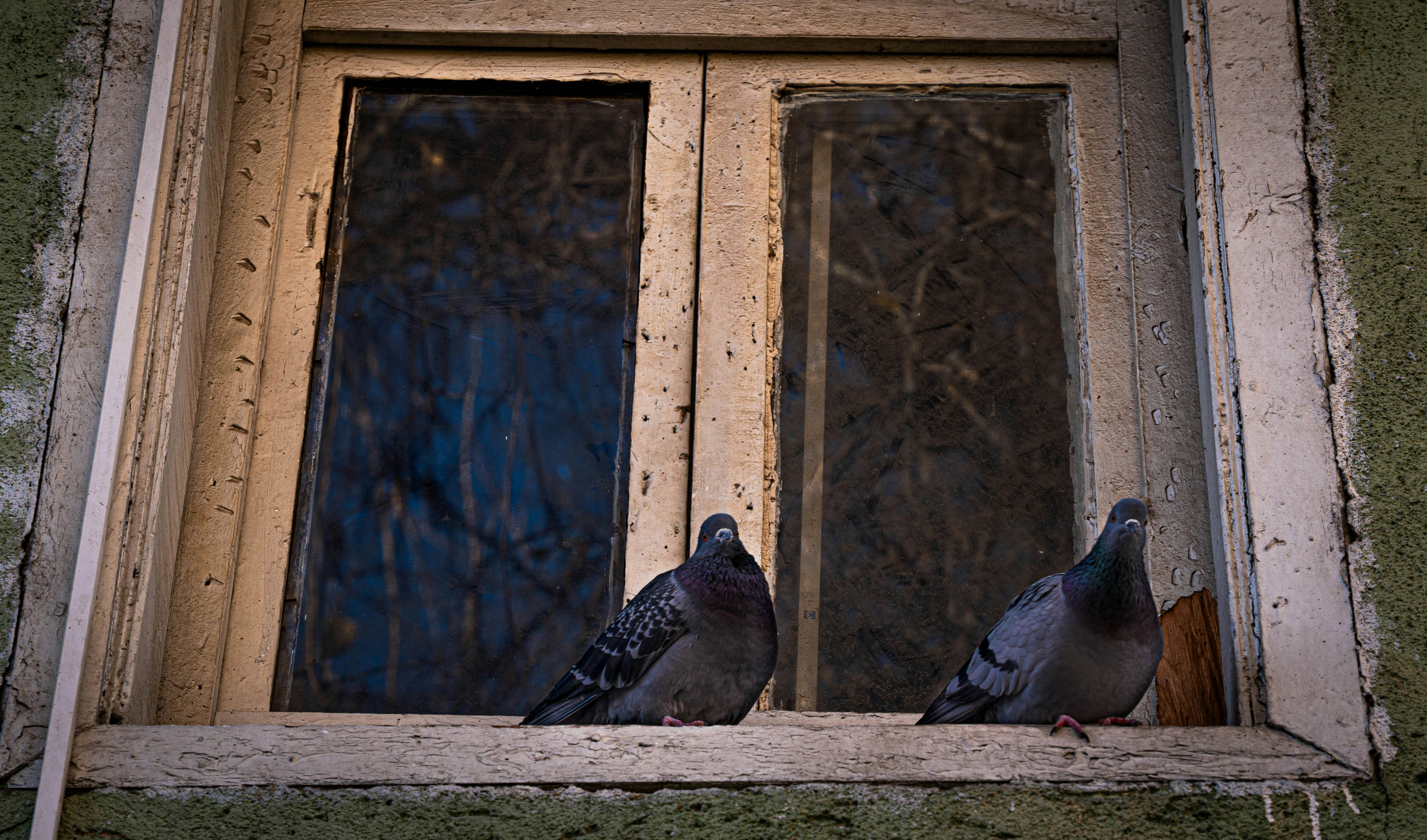 Photo by maviatlas