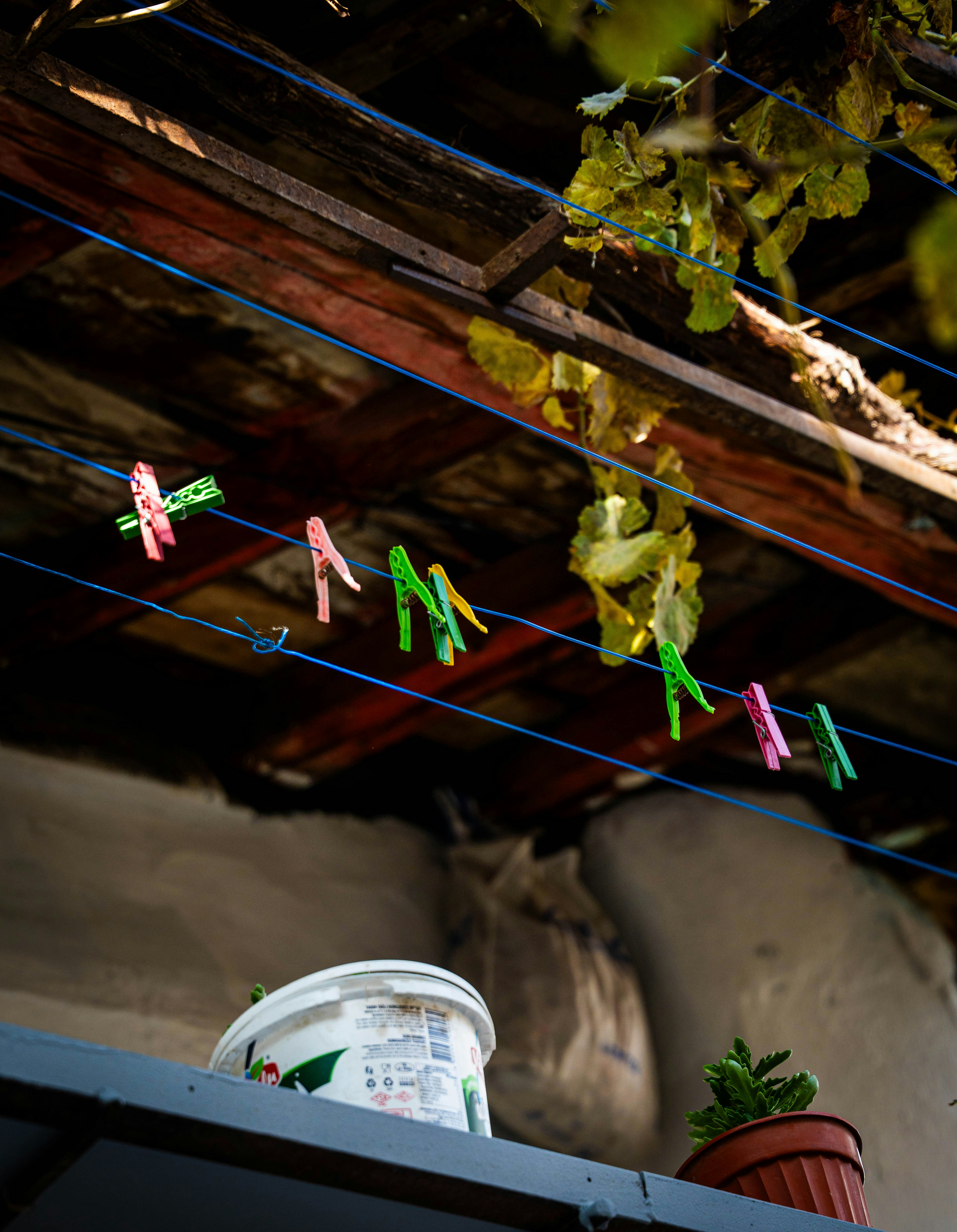 Colorful clothespins hang on blue clotheslines outdoors.